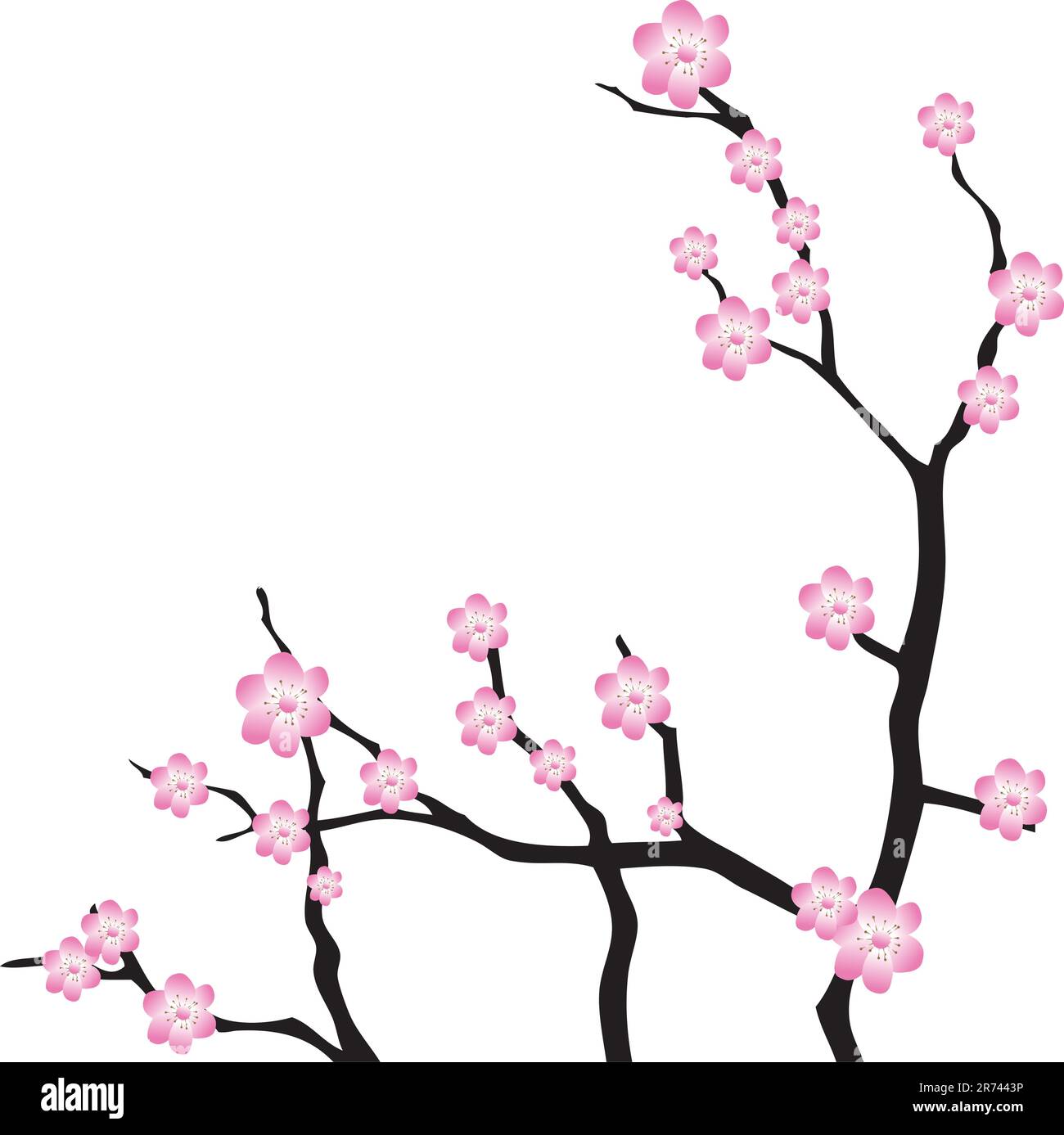 Oriental cherry branch vector illustration hi-res stock photography and ...