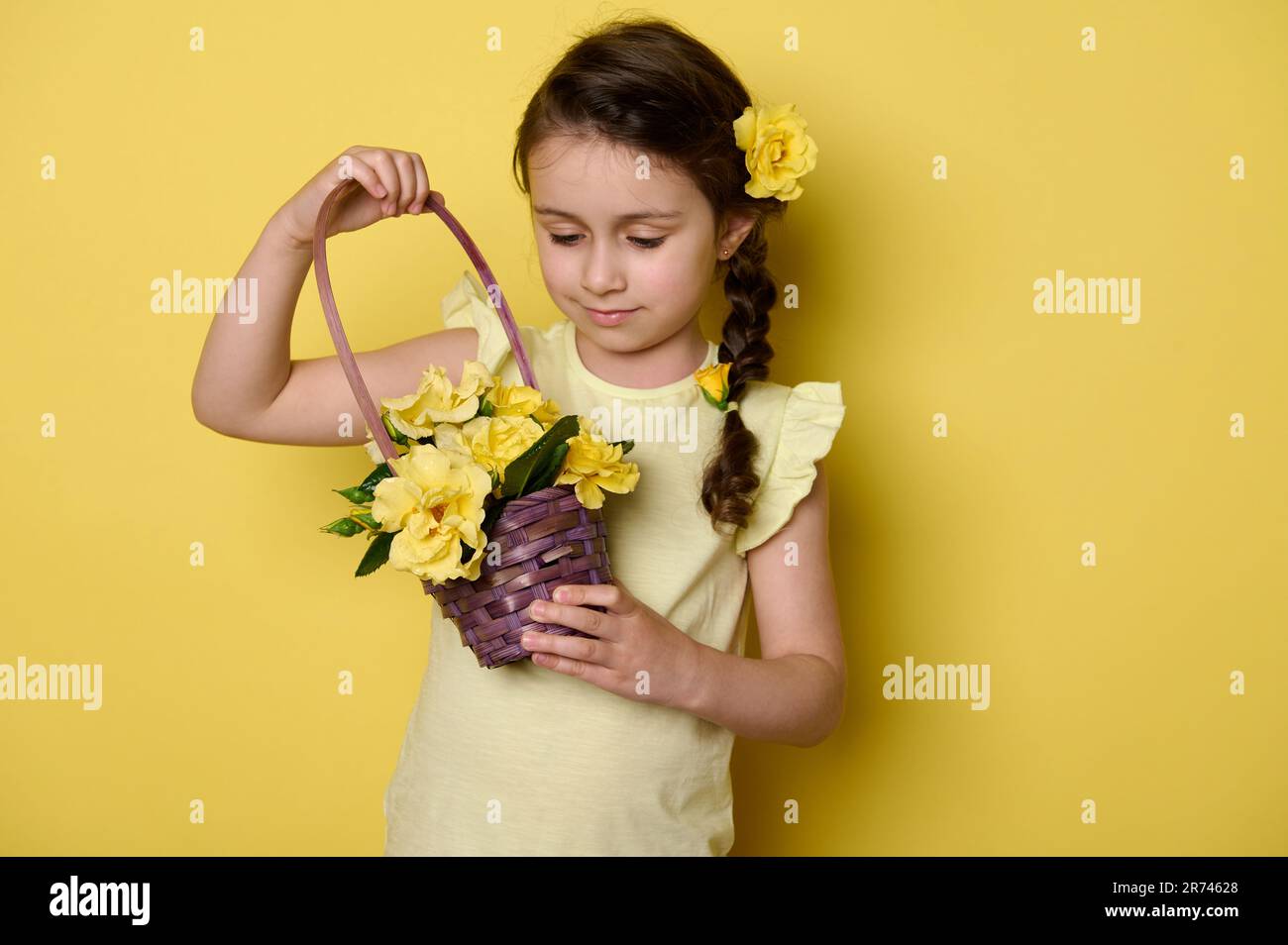 Cute little girl with rose flowers in hairstyle, holding purple wicker basket of fresh yellow roses, isolated on yellow Stock Photo