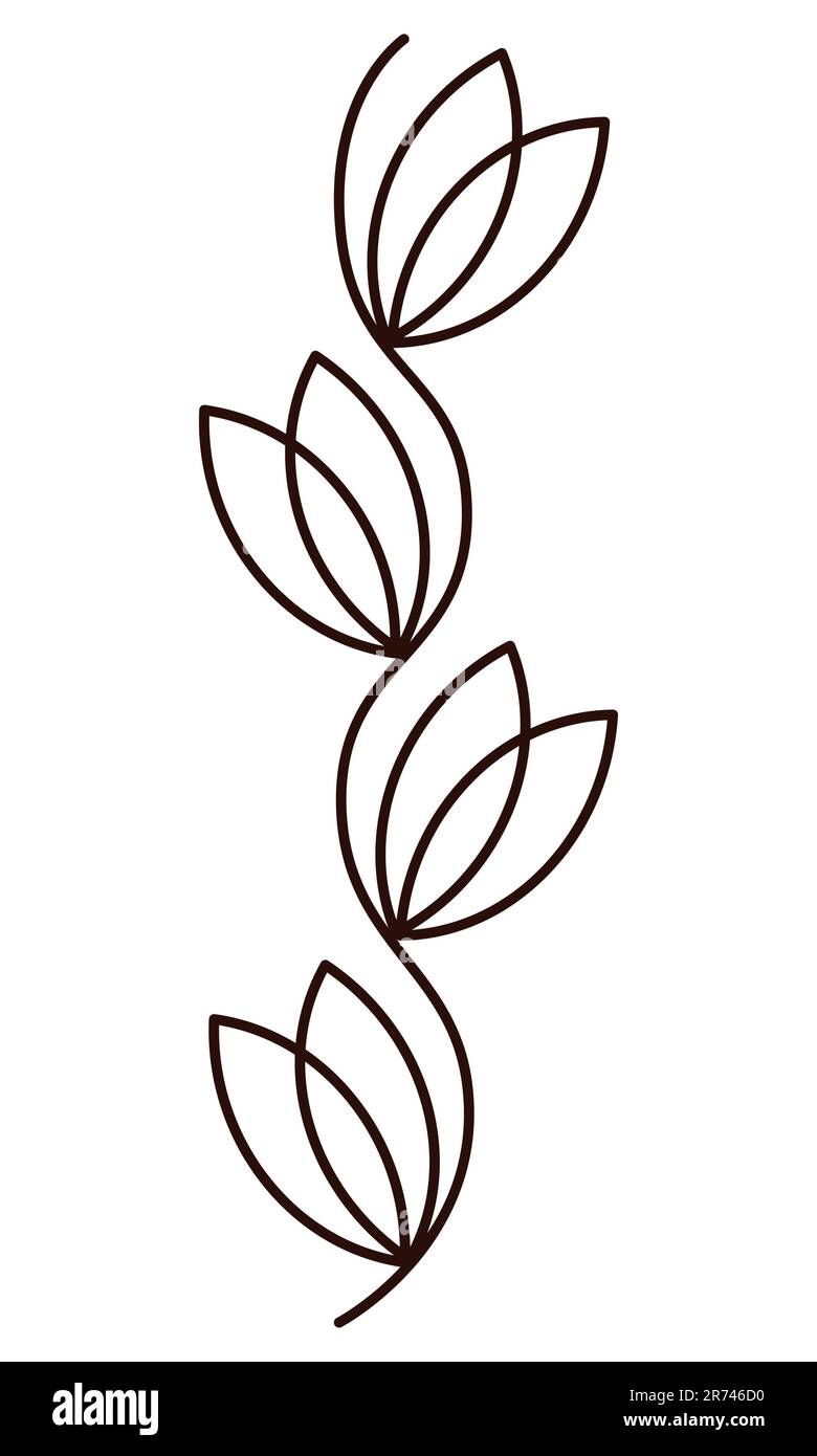 Flower Simple line floral element Outline doodle branch Black contour vector illustration Isolated on white background Stock Vector