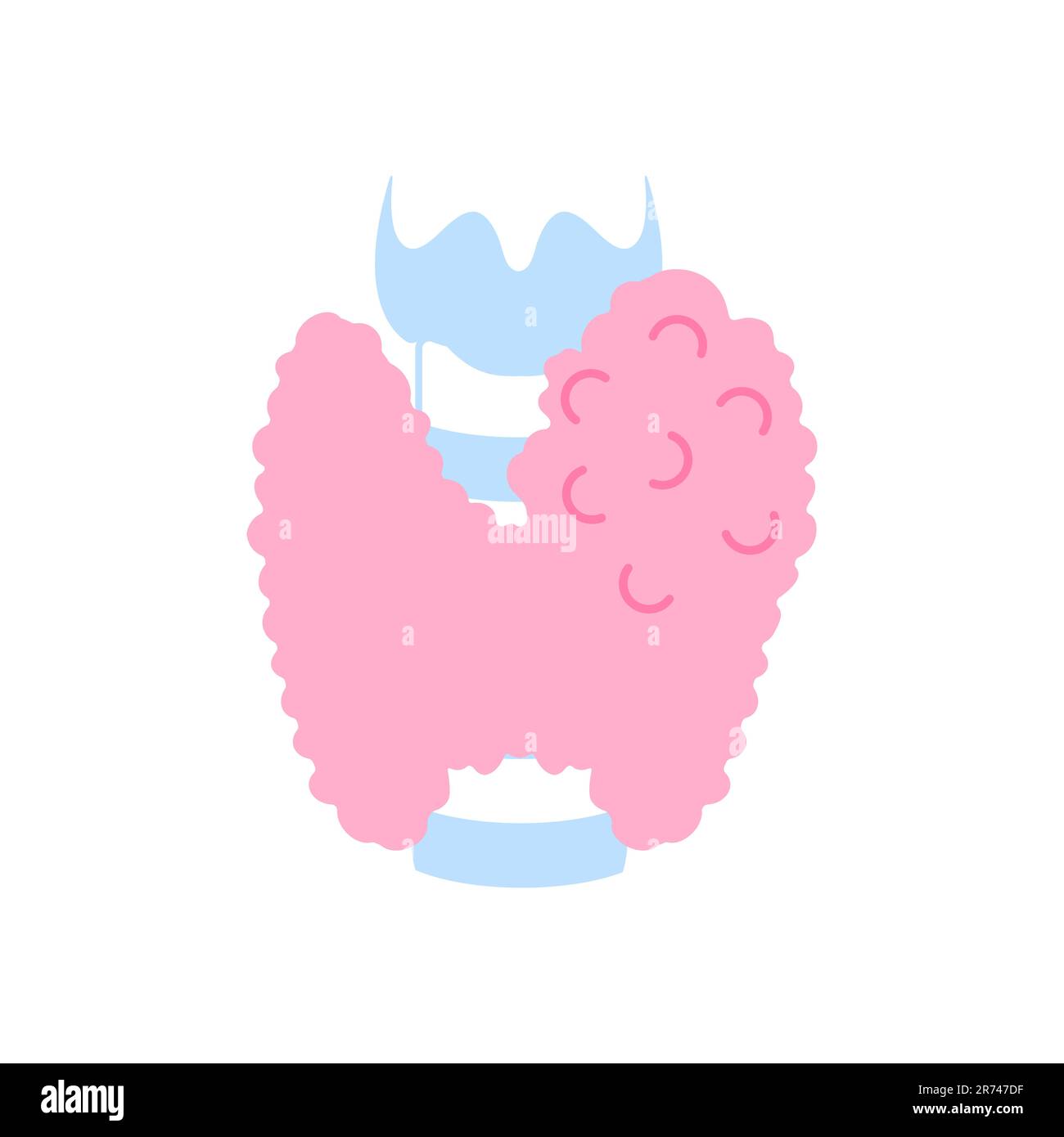 enlarged thyroid gland lobe with nodules icon Stock Vector