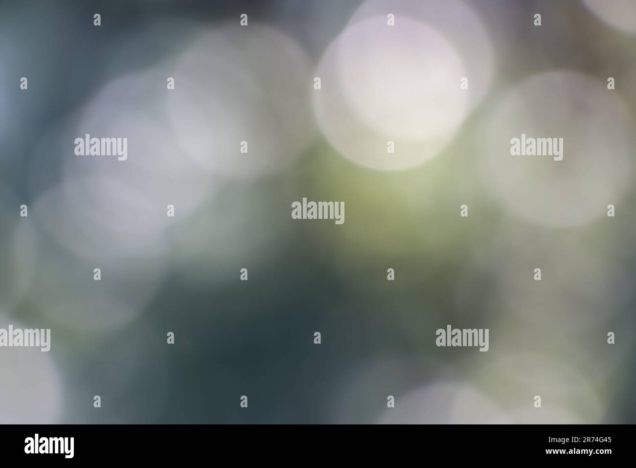 Abstract blurred green background with bokeh Stock Photo - Alamy