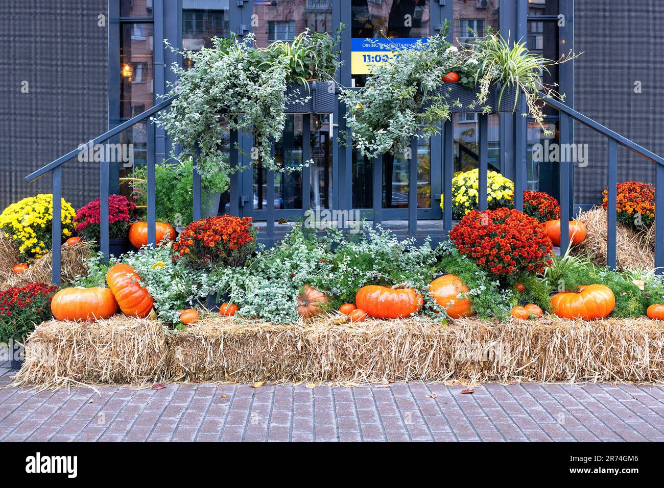 Colorful pumpkins, fall flowers and hay bales create luxurious Halloween and Thanksgiving decor at the cafe entrance. Stock Photo