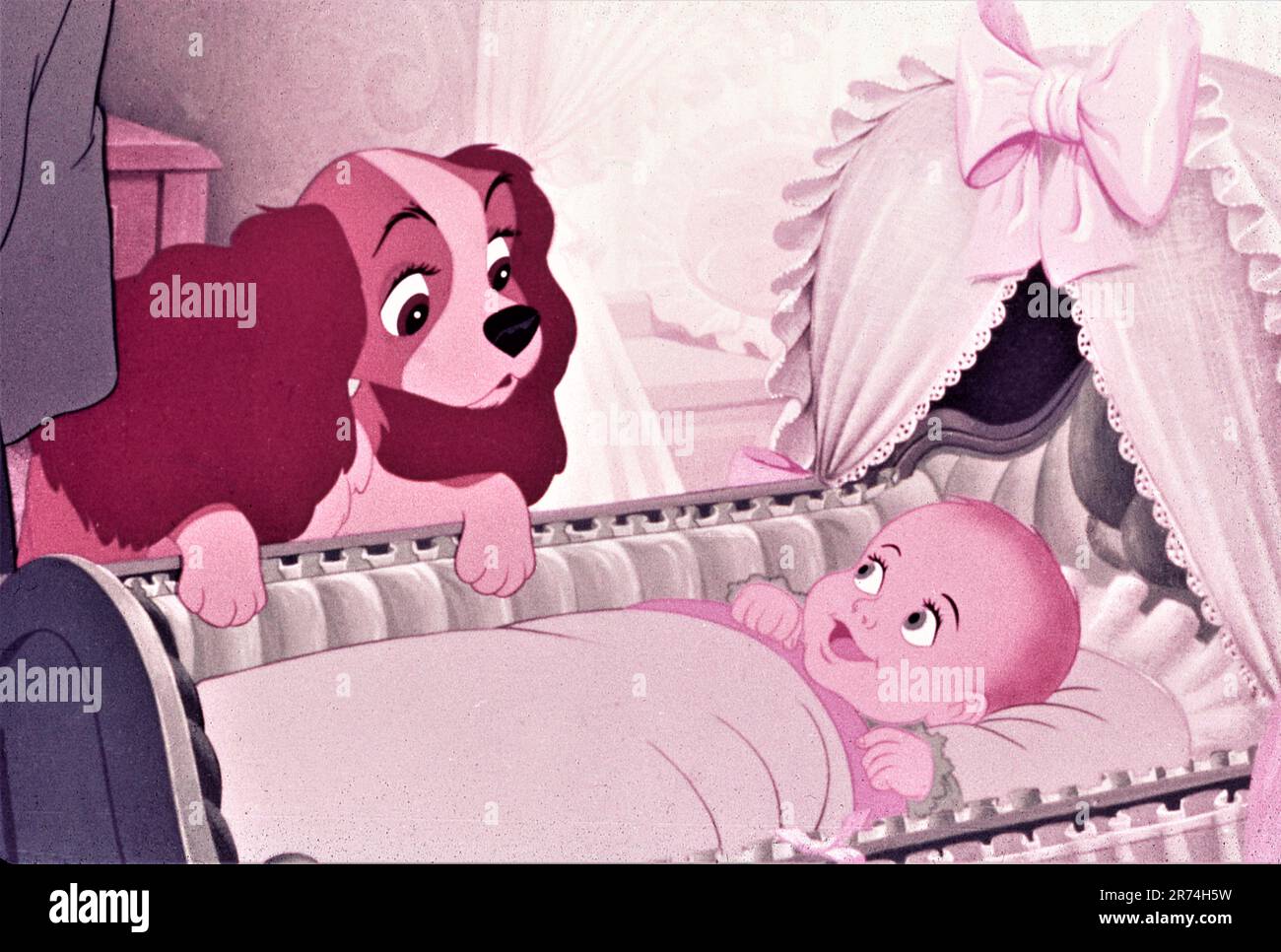 Lady with new baby in WALT DISNEY'S LADY AND THE TRAMP 1955 directors CLYDE GERONIMI WILFRED JACKSON and HAMILTON LUSKE from the story by Ward Greene Walt Disney productions / Buena Vista Film Distribution Company Stock Photo
