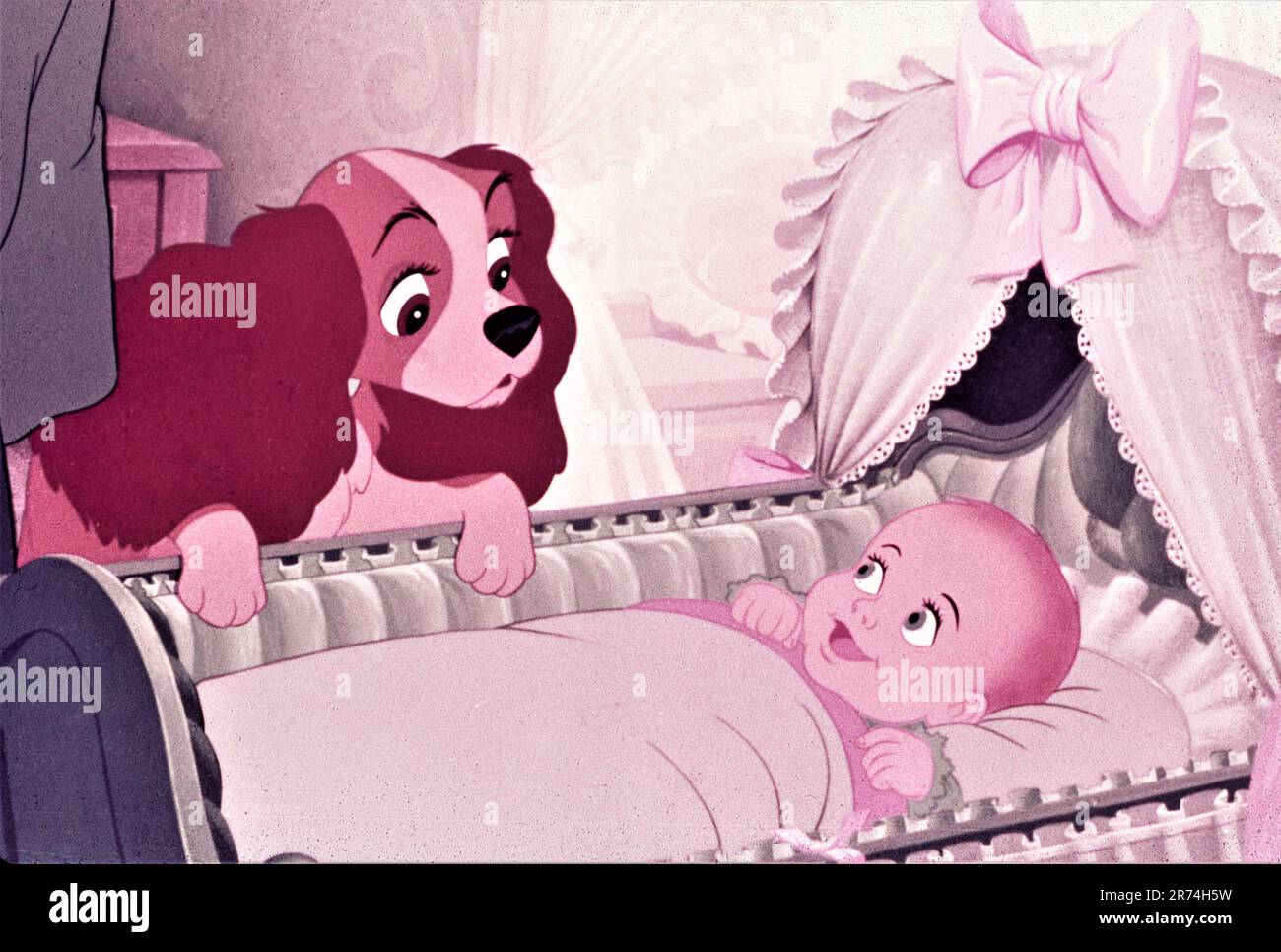 Lady And The Tramp What Is A Baby at Amy Palmer blog