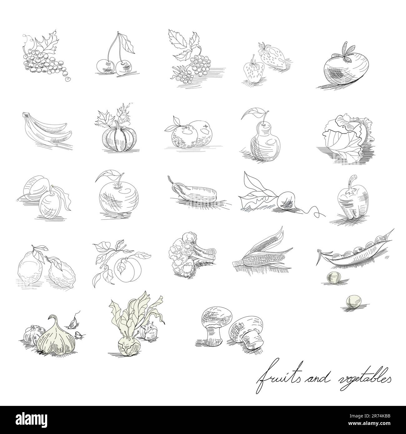 Fruits And Vegetables Stock Vector Image Art Alamy fruits-and-vegetables-stock-vector-image-art-alamy