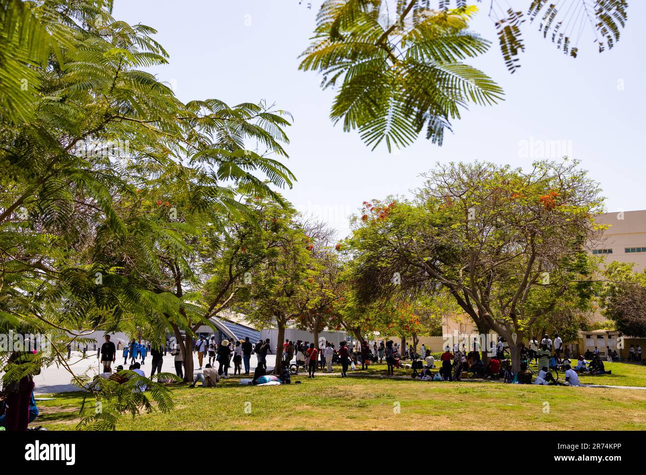 Dubai UAE People Relax In The Shade Of Trees Near Deira Metro Station dubai-uae-people-relax-in-the-shade-of-trees-near-deira-metro-station