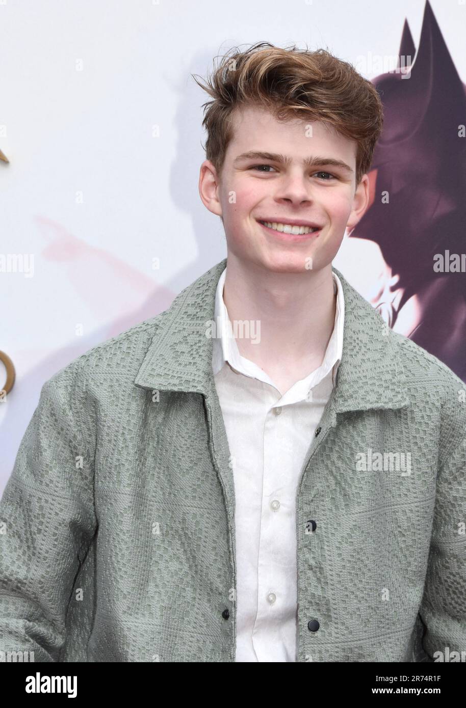 Hollywood, California, USA 12th June 2023 Dancer Merrick Hanna attends Los  Angeles Premiere of Warner Bros. The Flash at Ovation Hollywood on June  12, 2023 in Hollywood, California, USA. Photo by Barry