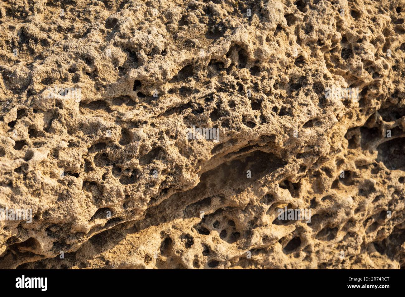 Porous Limestone Rocks Texture of a porous limestone natural background Stock Photo - Alamy