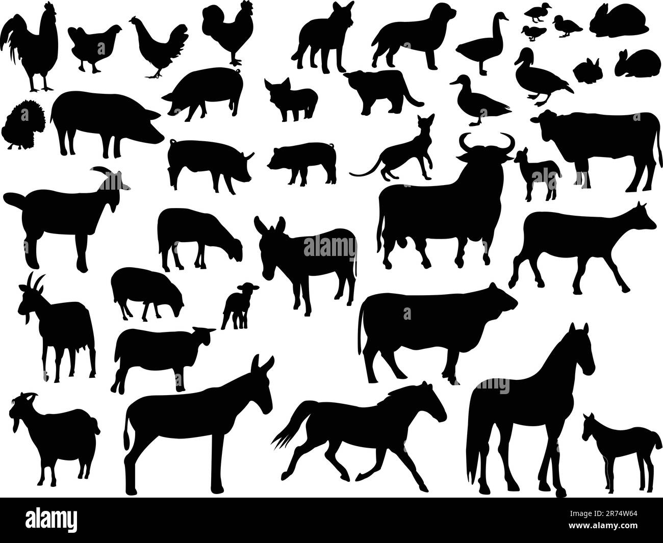 farm animals collection - vector Stock Vector Image & Art - Alamy