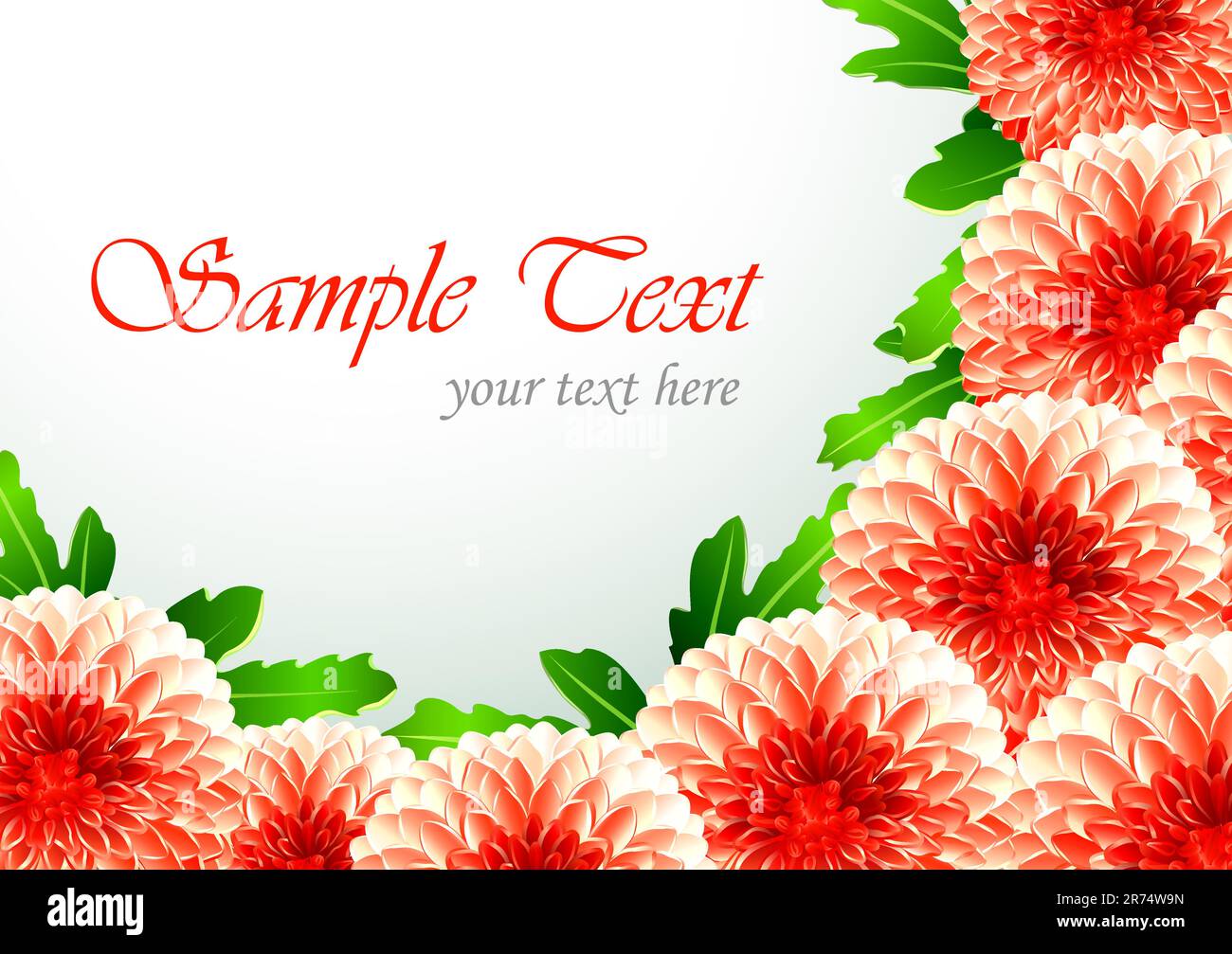floral background with chrysanthemum vector illustration Stock Vector ...