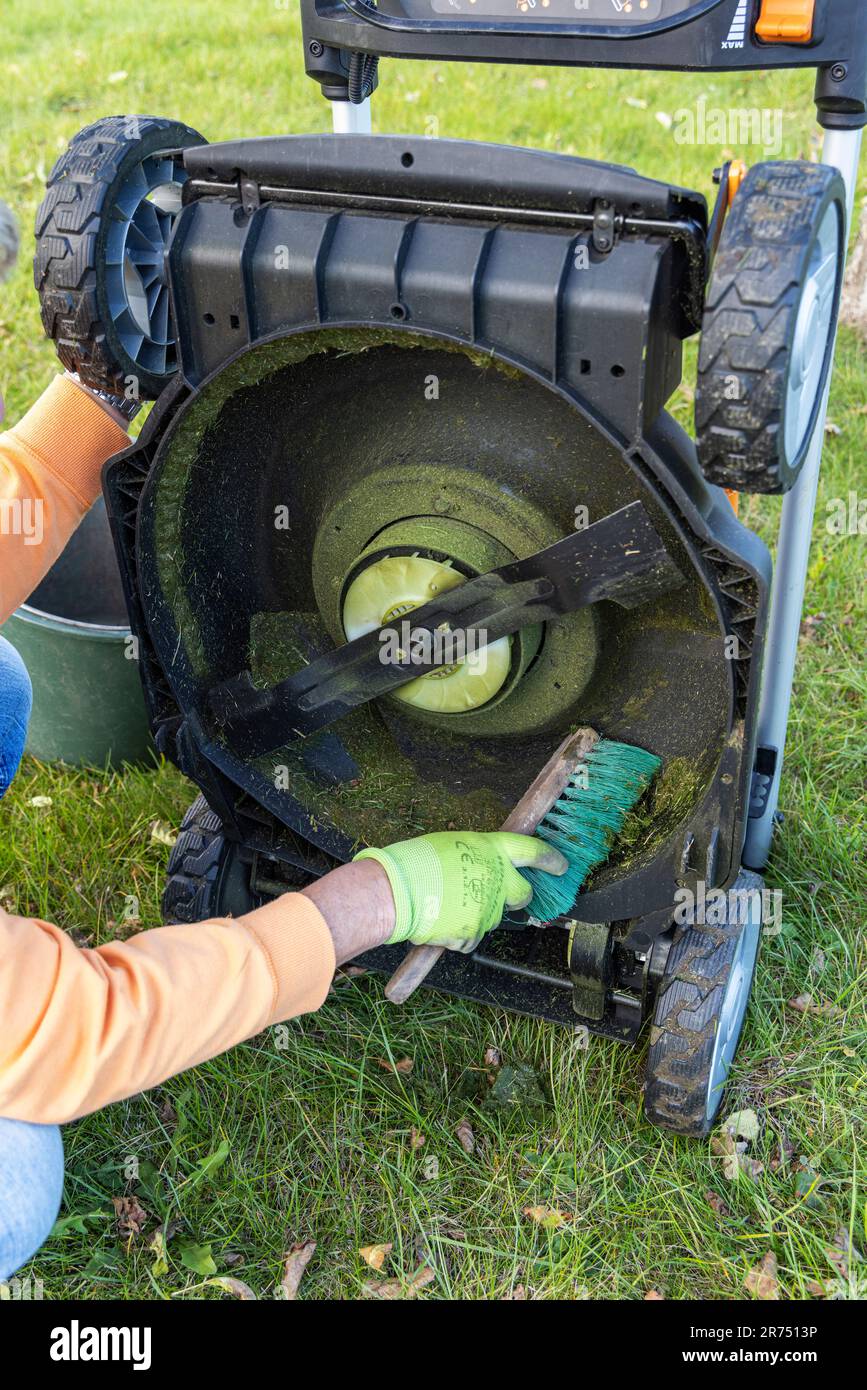 Woman cleans cordless lawn mower, cutter, hand broom, detail, lawn mower, lawn mowing, garden, Stock Photo