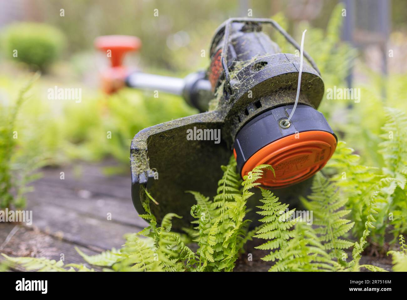 Black decker mower hi-res stock photography and images - Alamy