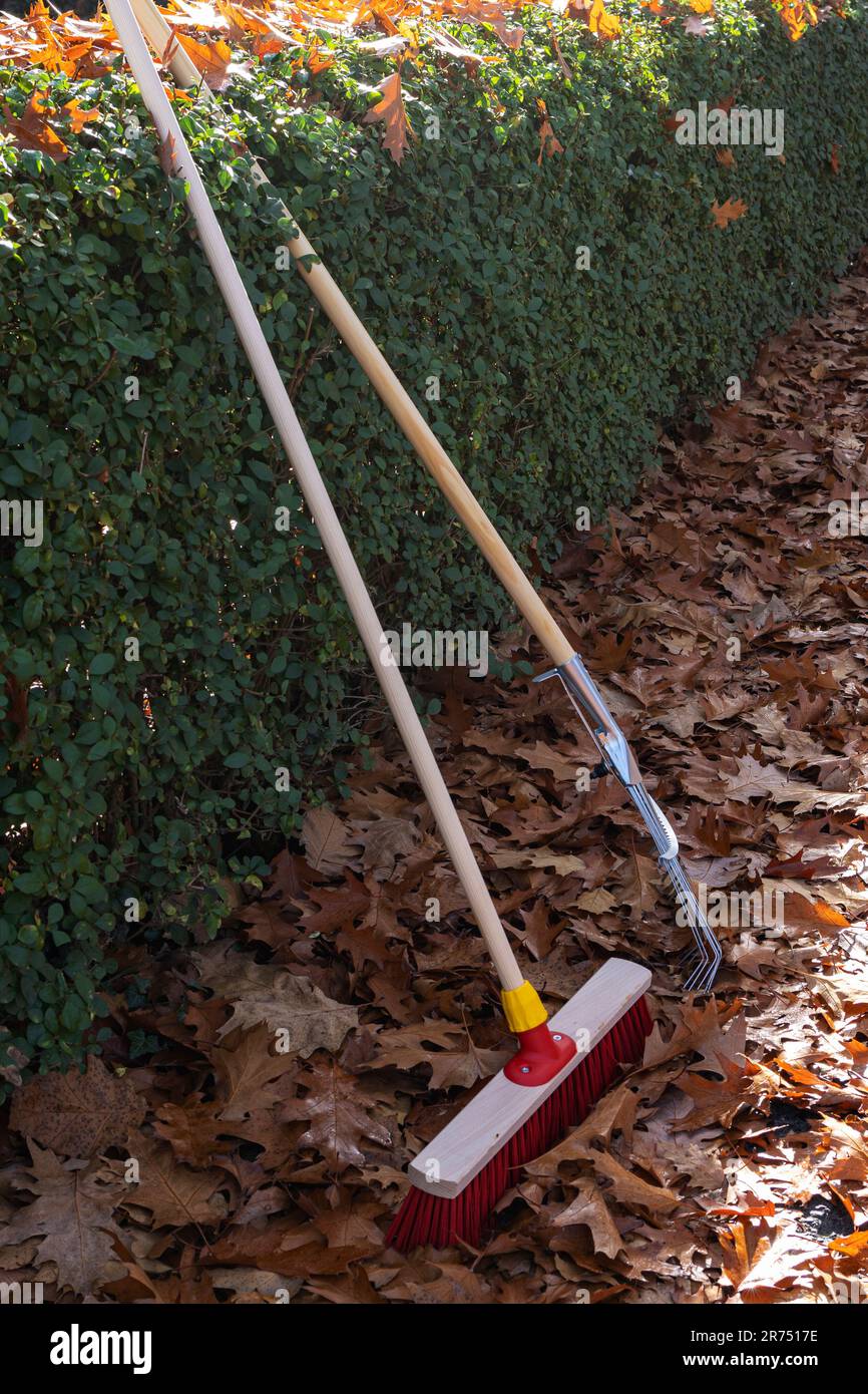 Autumn leaves on the sidewalk, street broom and leaf rake, detail, Stock Photo