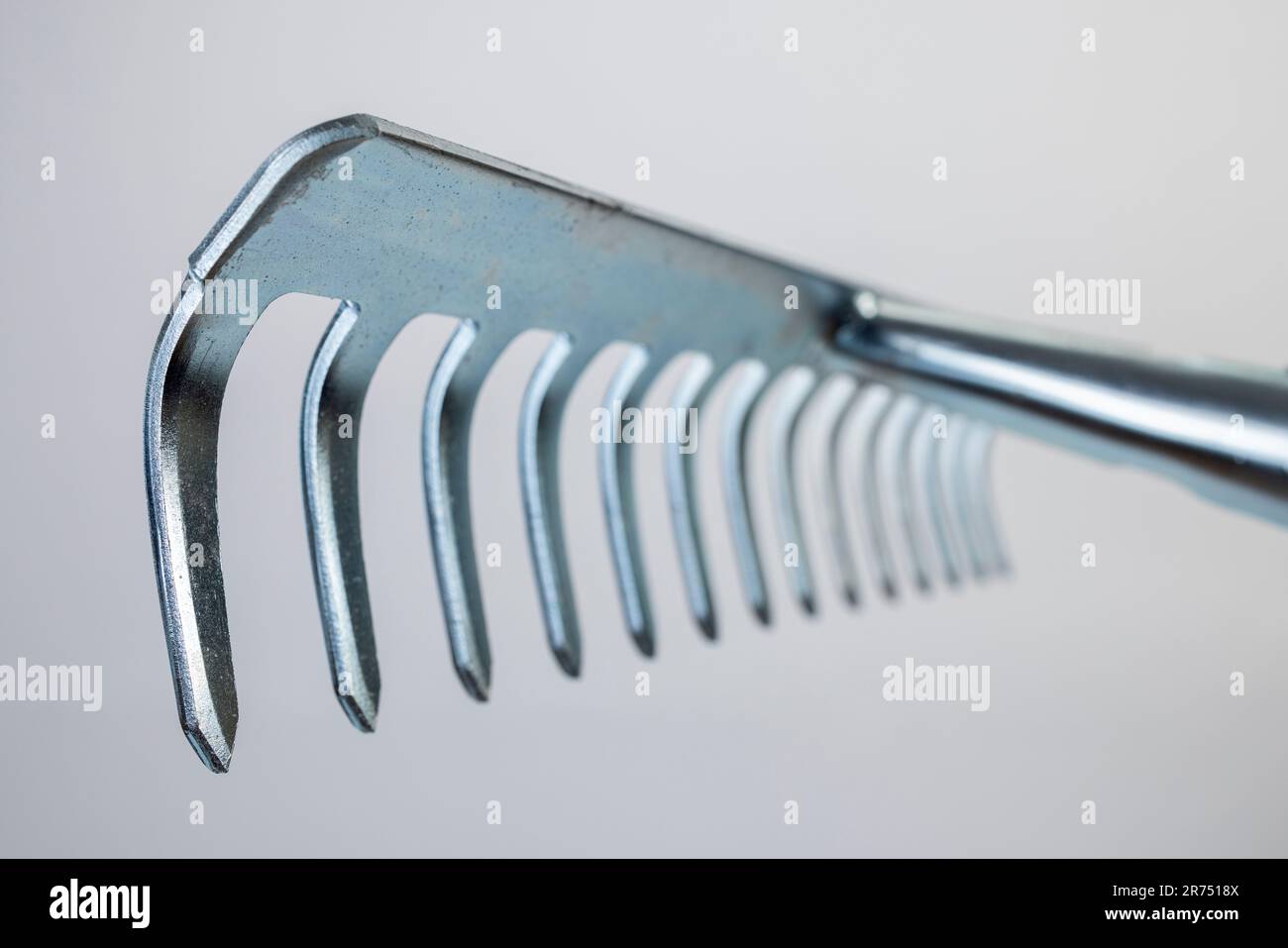 Garden rake, with wooden handle, silver galvanized tines, detail, white ...