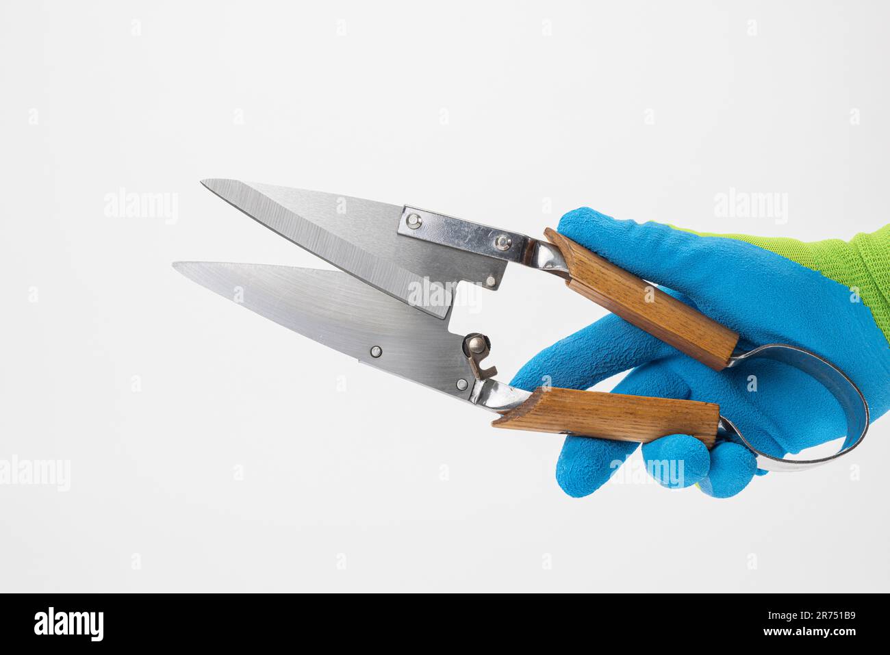 Hand with work glove holds boxwood shears, white background, Stock Photo