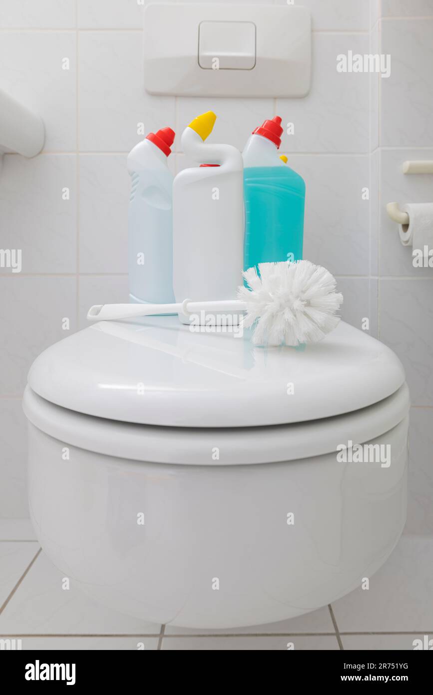 Clean toilet, toilet lid, toilet brush with various liquid toilet