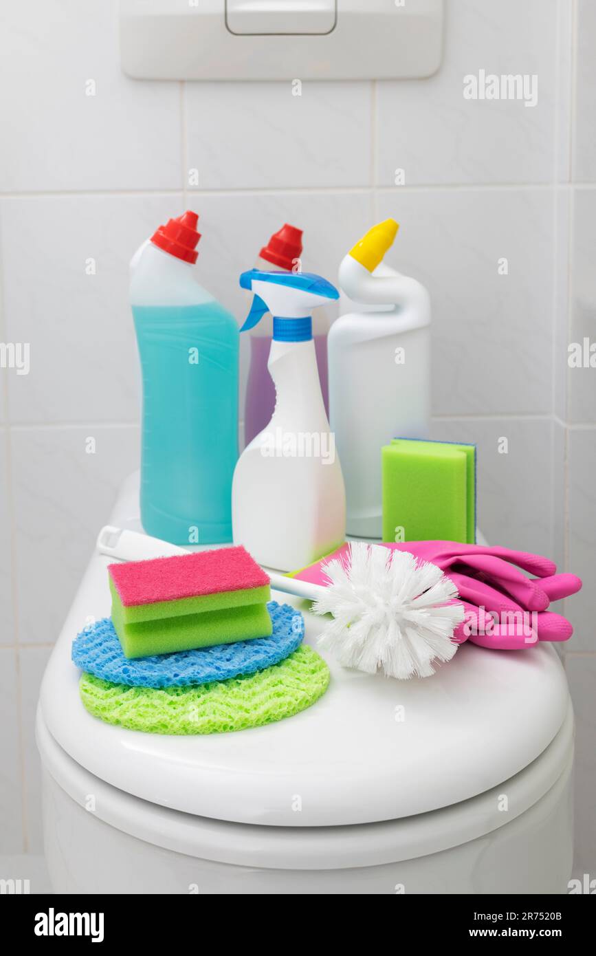 Toilet cleaning, toilet lid, various toilet cleaning products, Stock Photo