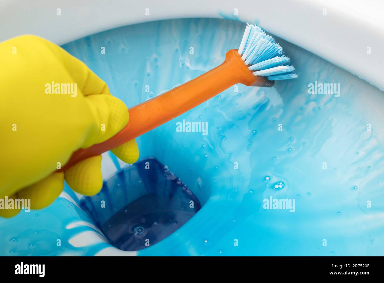 Clean toilet, clean toilet rim with brush and liquid toilet cleaner