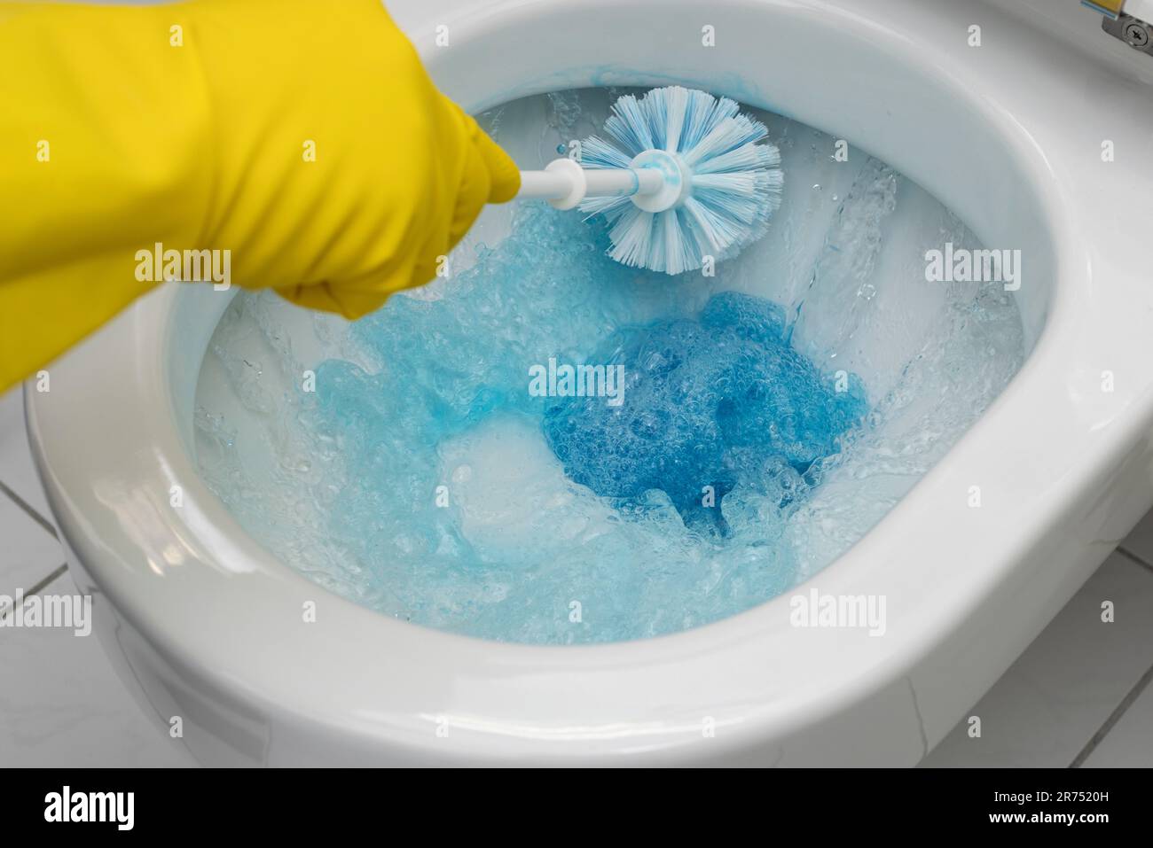 Clean toilet, clean toilet rim with toilet brush and liquid toilet