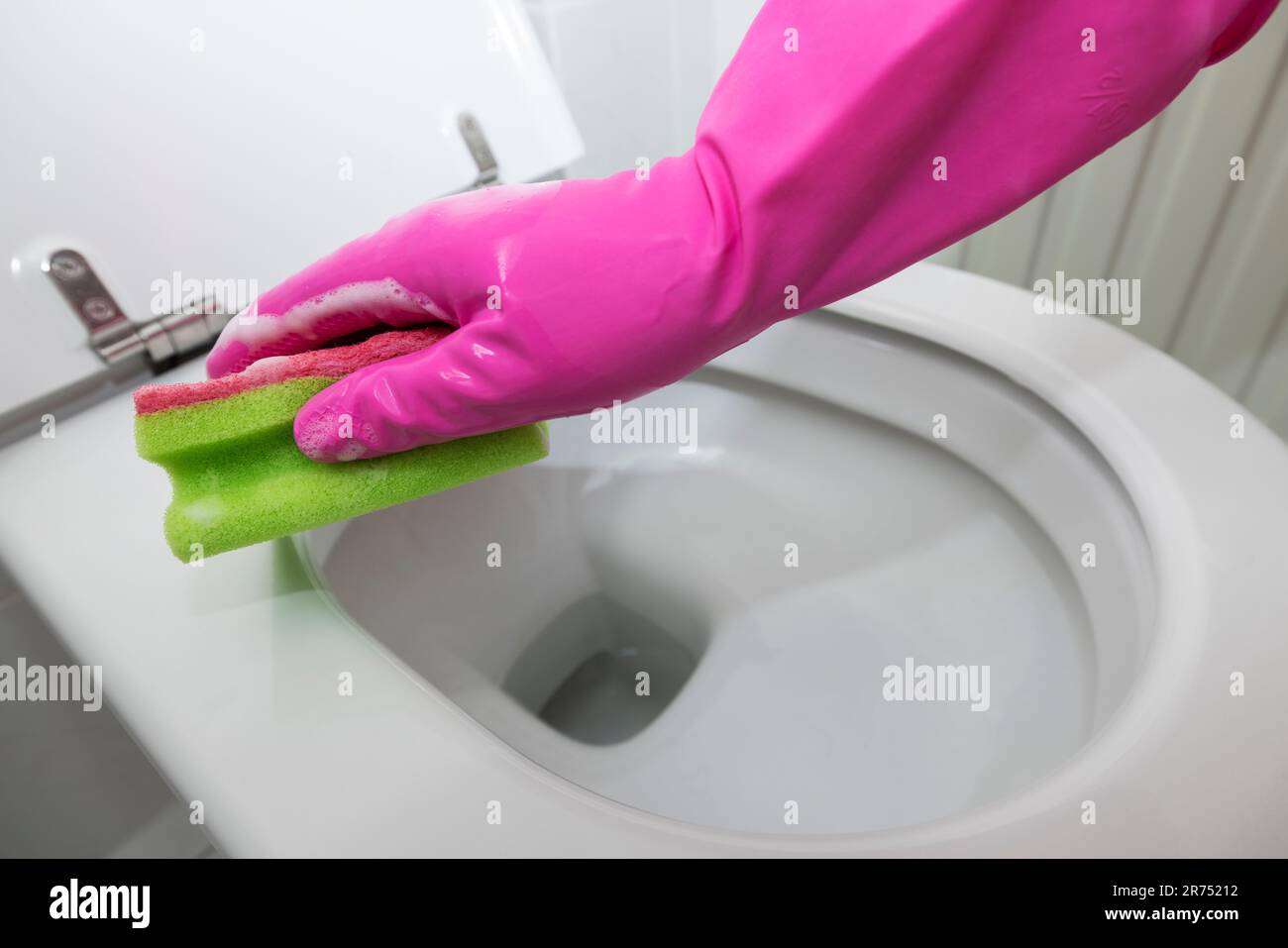 Clean toilet, clean toilet seat with cleaning sponge, detail, Stock Photo