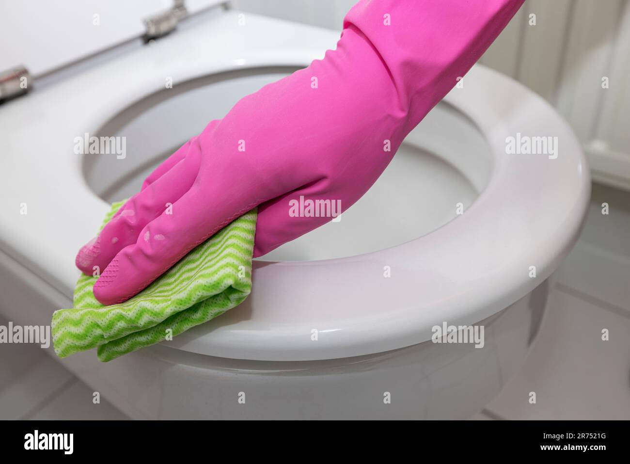 Clean toilet, clean toilet seat with cleaning cloth, detail Stock Photo Alamy