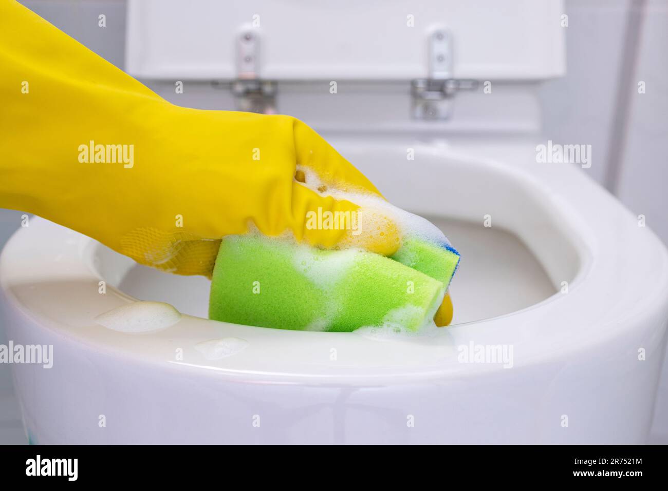 Clean toilet, clean toilet rim with cleaning sponge, detail Stock Photo