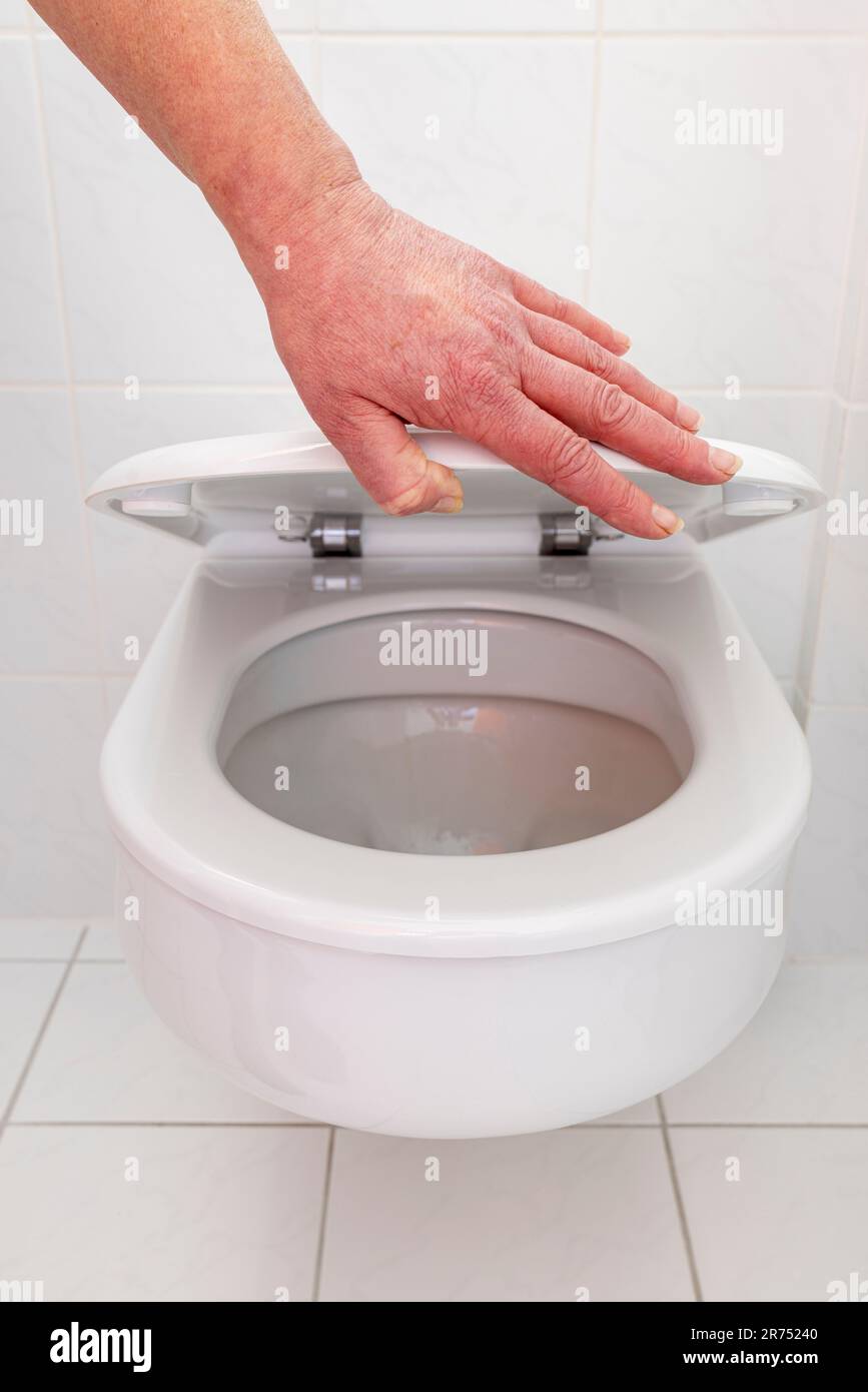 Woman hand lifts toilet lid, toilet walk Stock Photo Alamy