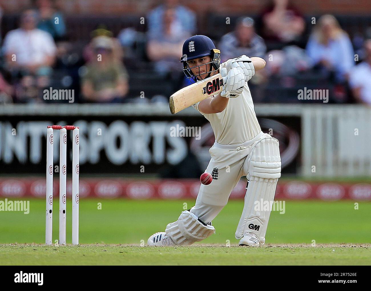 Best cricket batting gloves 2019 hot sale