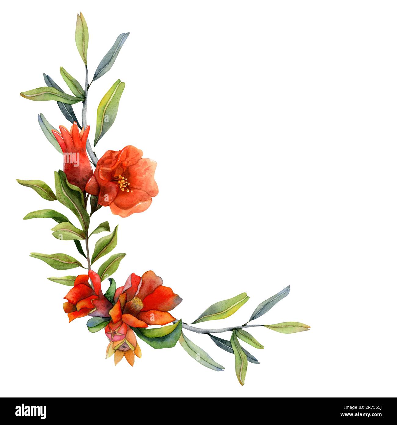 Flowers corner cut out hi-res stock photography and images - Alamy