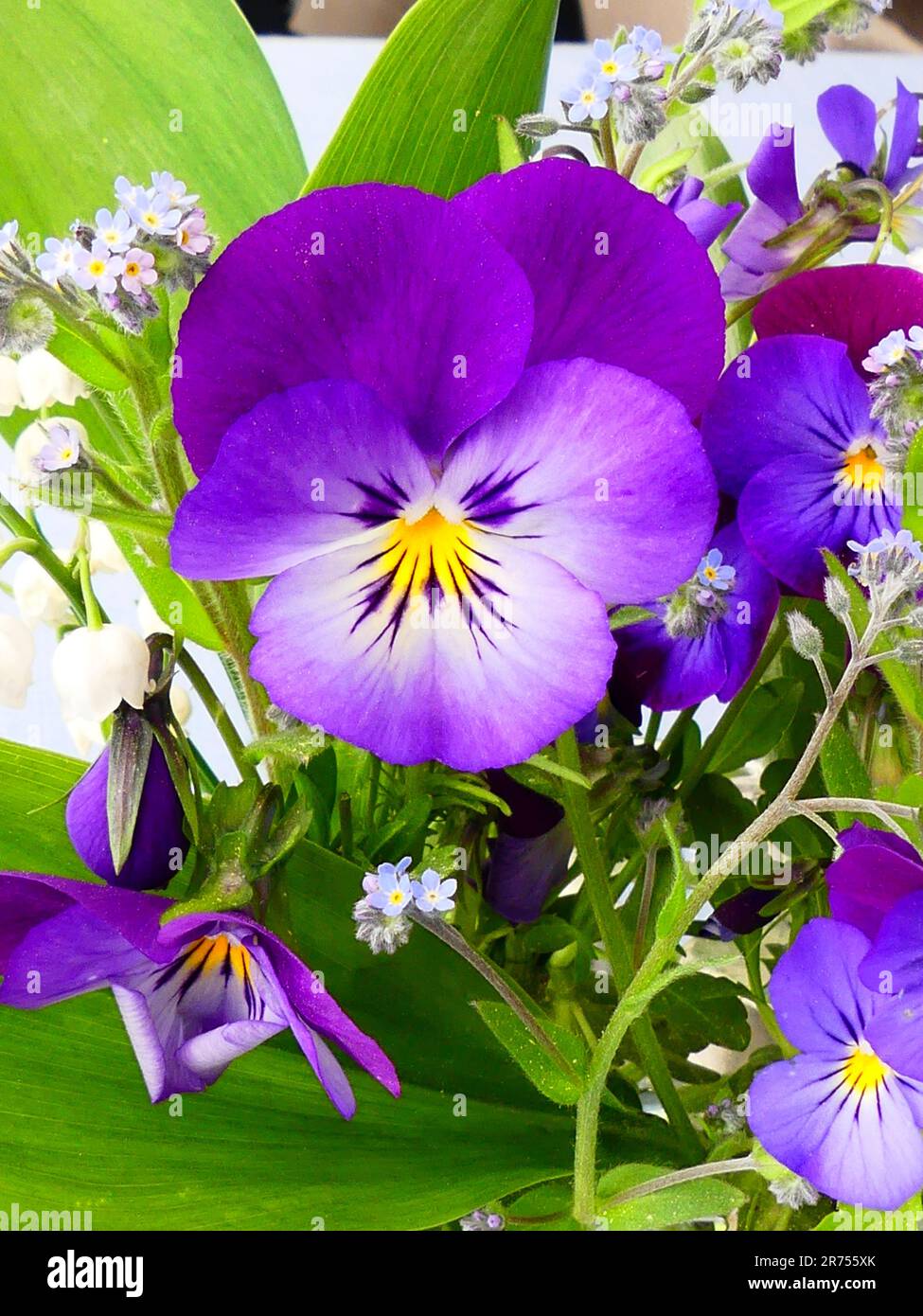 Flower bouquet with violets Stock Photo Alamy