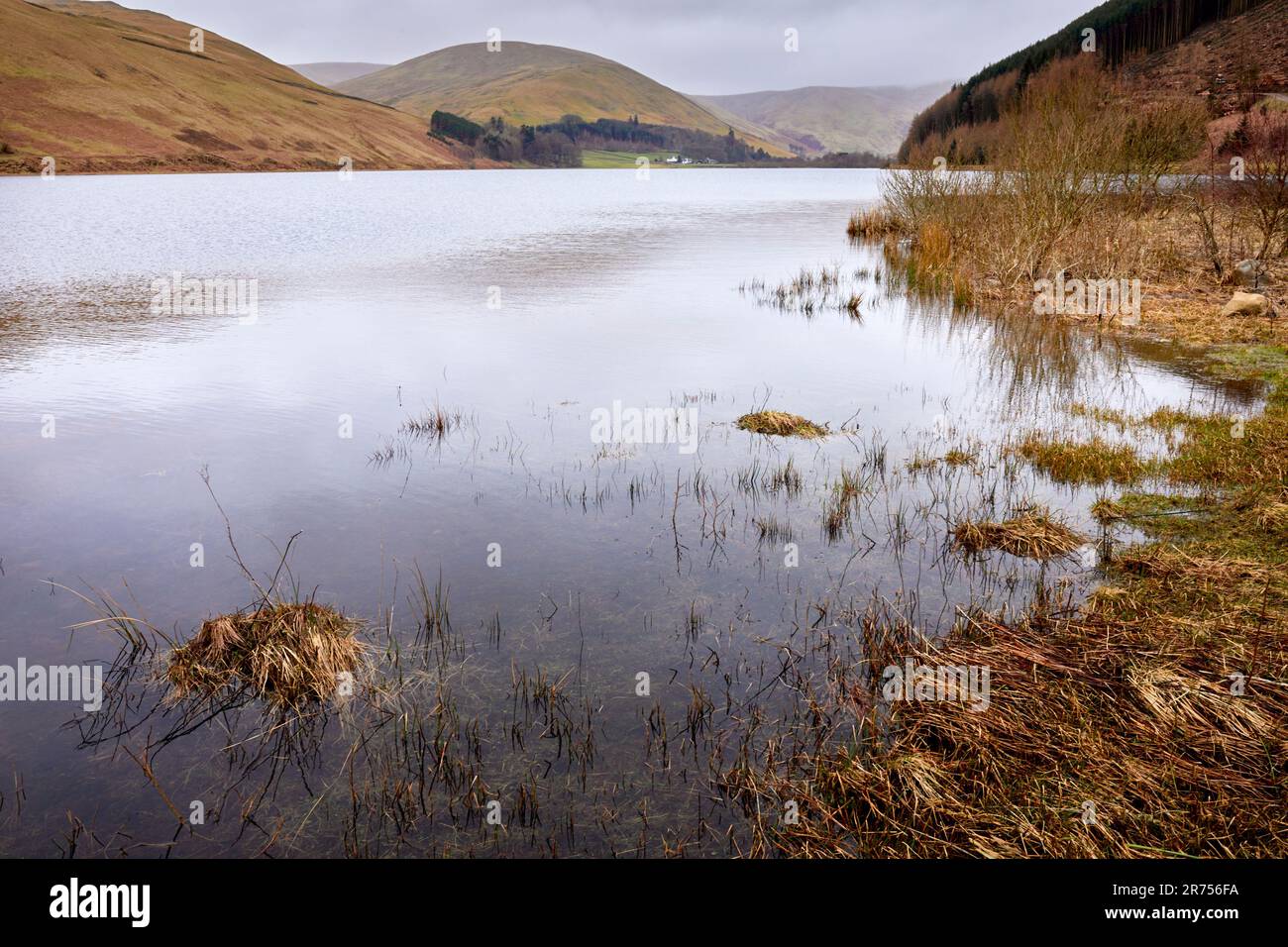 In March, a view south across Loch of the Lowes from Tibbie Shiels Inn. Dumfries and Galloway, Borders, Scotland Stock Photo