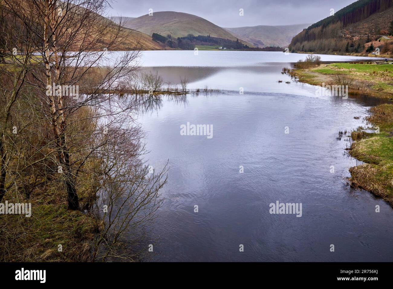 In March, a view south across Loch of the Lowes from Tibbie Shiels Inn. Dumfries and Galloway, Borders, Scotland Stock Photo