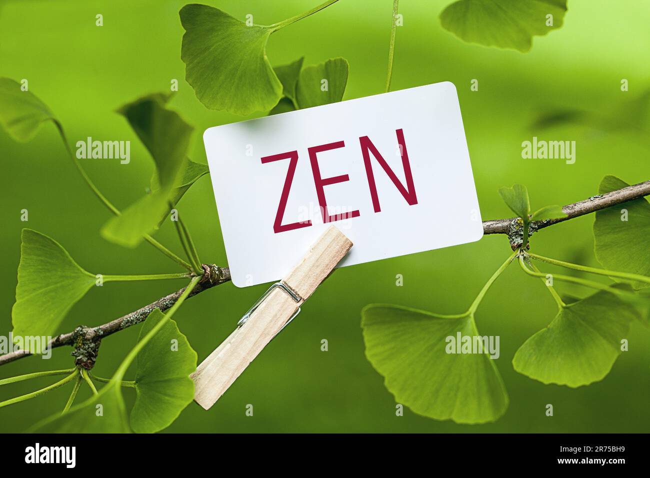 memo sheet at a Ginkgo lettering ZEN Stock Photo