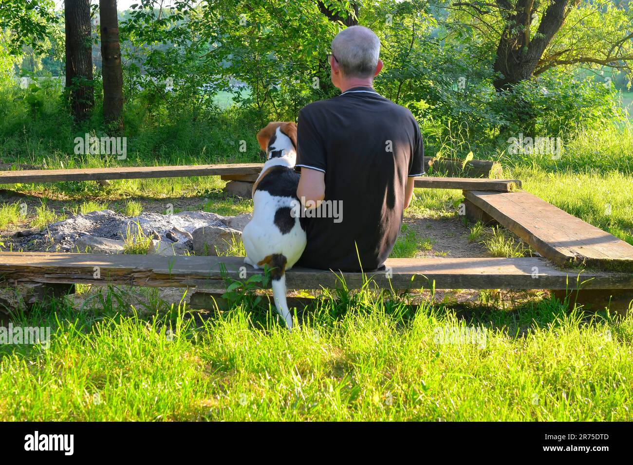 Senior man with his dog sitting on a bench in nature. Concept of ...