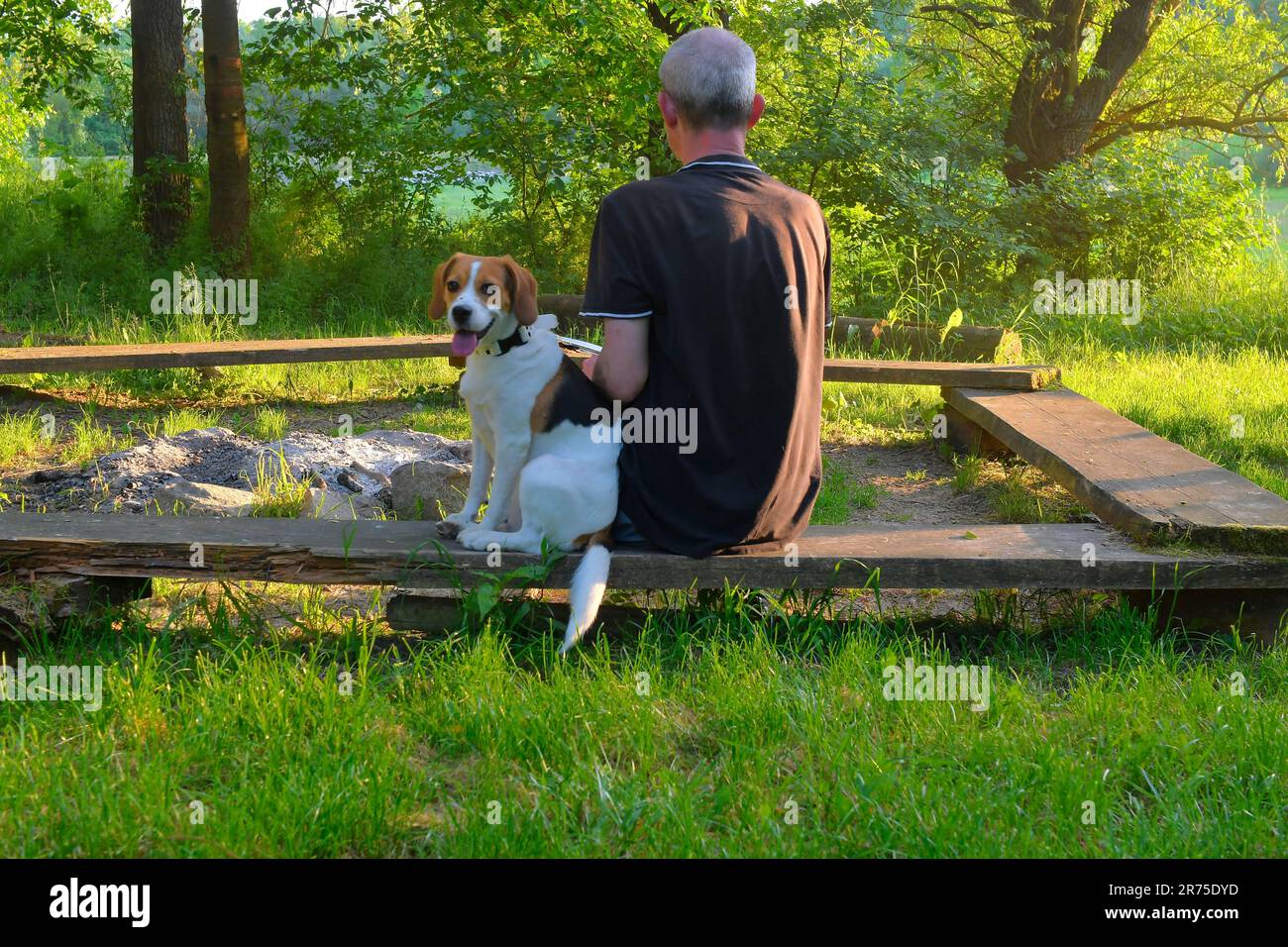 An elderly man sitting on a bench with his dog. Dog and its owner in ...