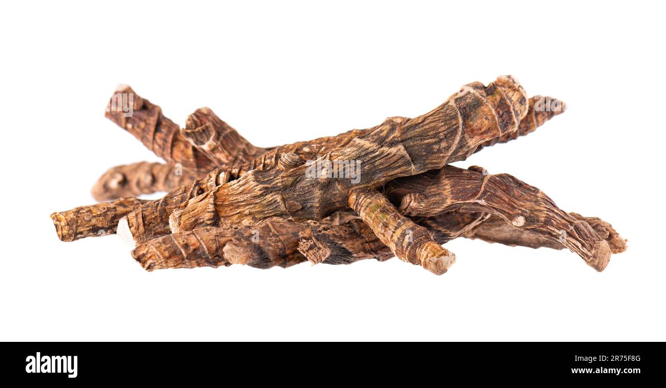 Calamus root isolated on white background. Sweet flag, sway or muskrat root, vasambu. Dry root of Acorus calamus. Stock Photo