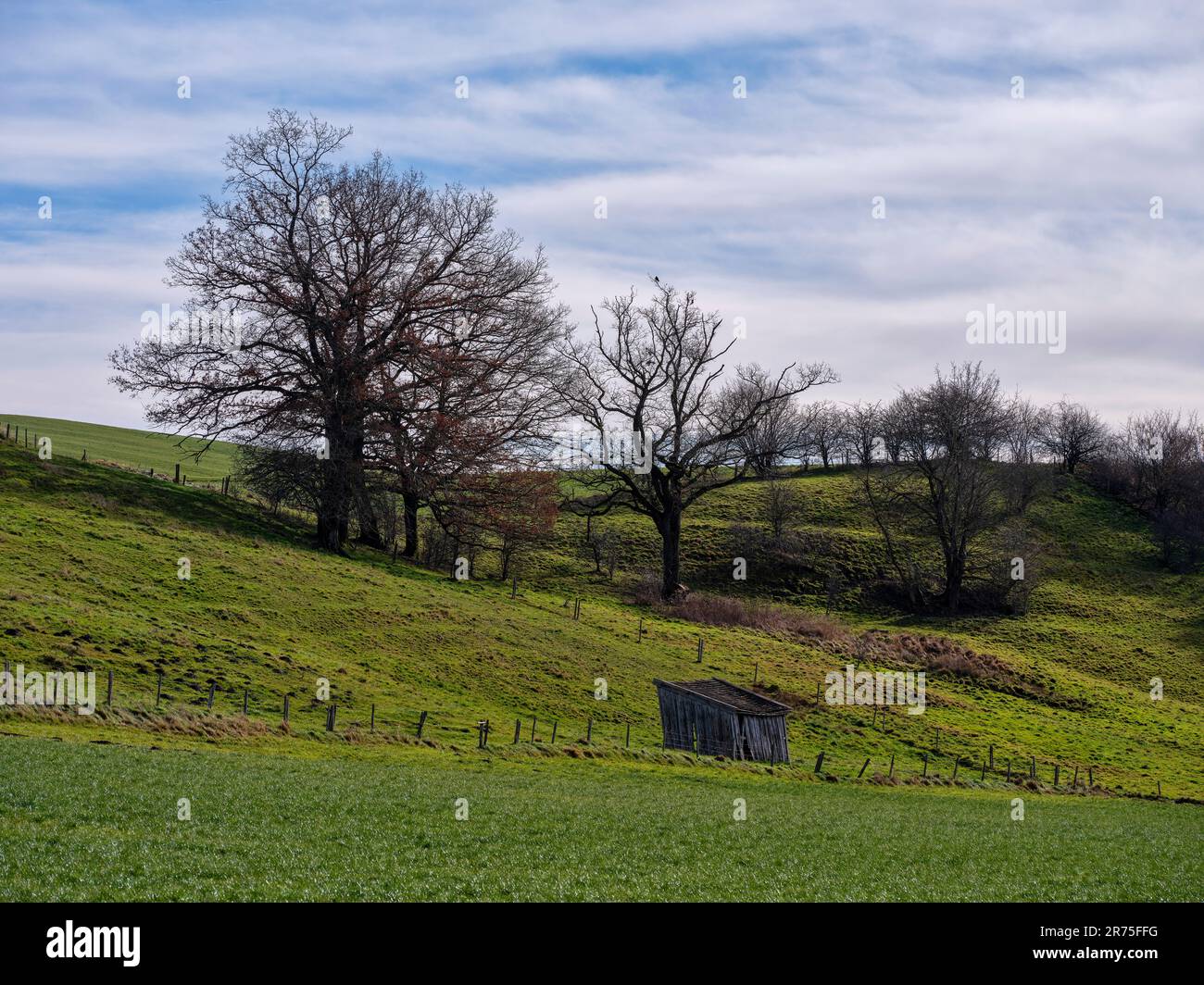 Moraine hill near Apfeldorf Stock Photo