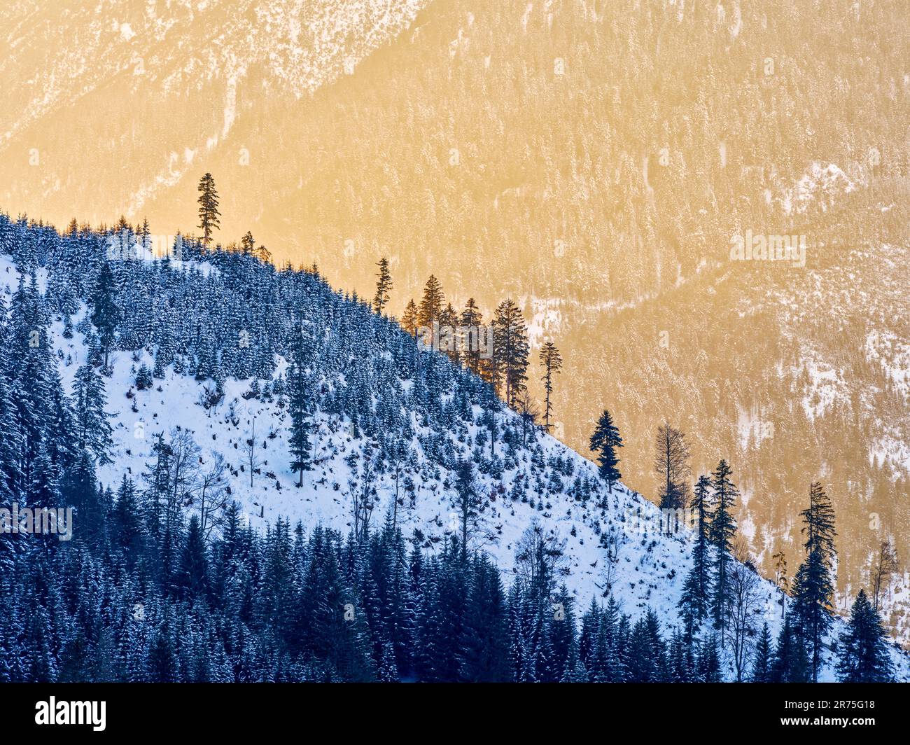 Winter in Bschlabser Valley, Tyrol Stock Photo