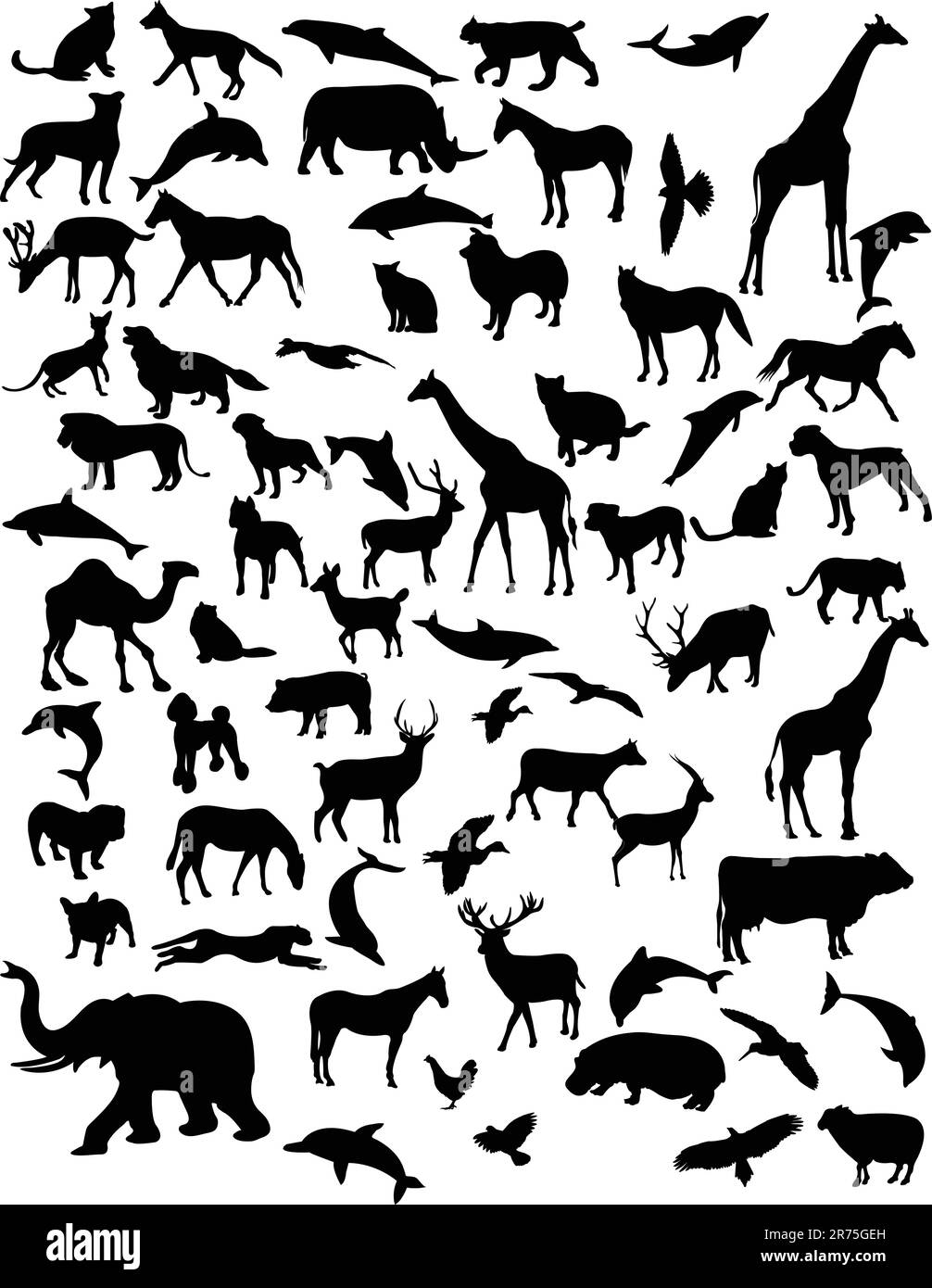 collection-of-68-animals-vector-stock-vector-image-art-alamy