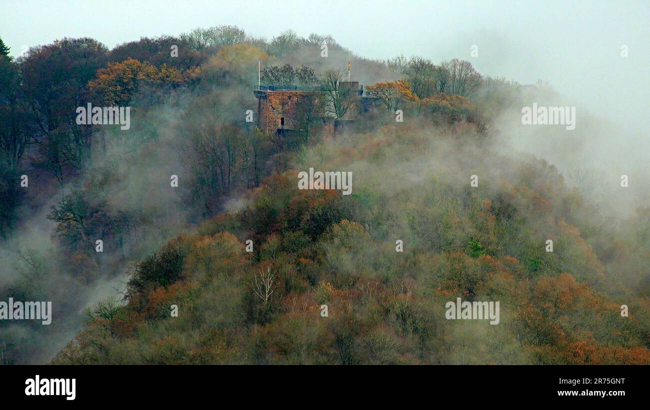 Autumn fog and castle ruin Montclair in the forest above the Saar loop near Mettlach, Saartal, Saarland, Germany Stock Photo