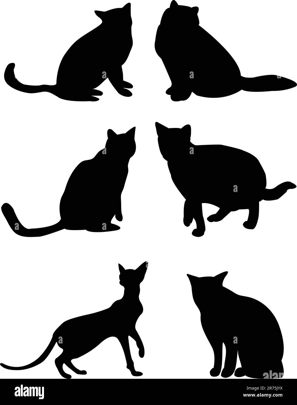 Cat Silhouette Vector Stock Vector Image And Art Alamy 1586