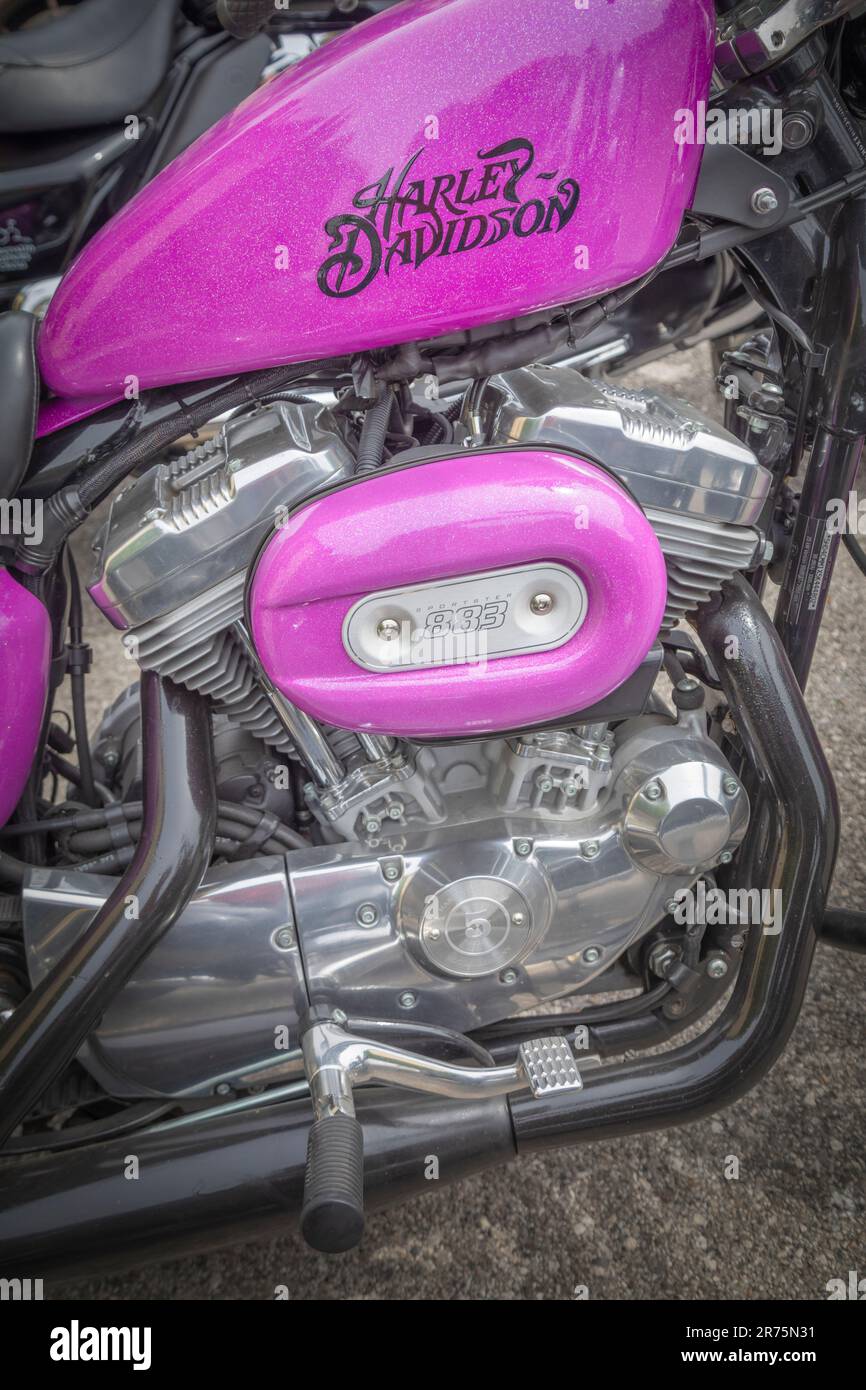 Harley Davidson 883 Sportster, motorcyle, in blue pink, details Stock Photo