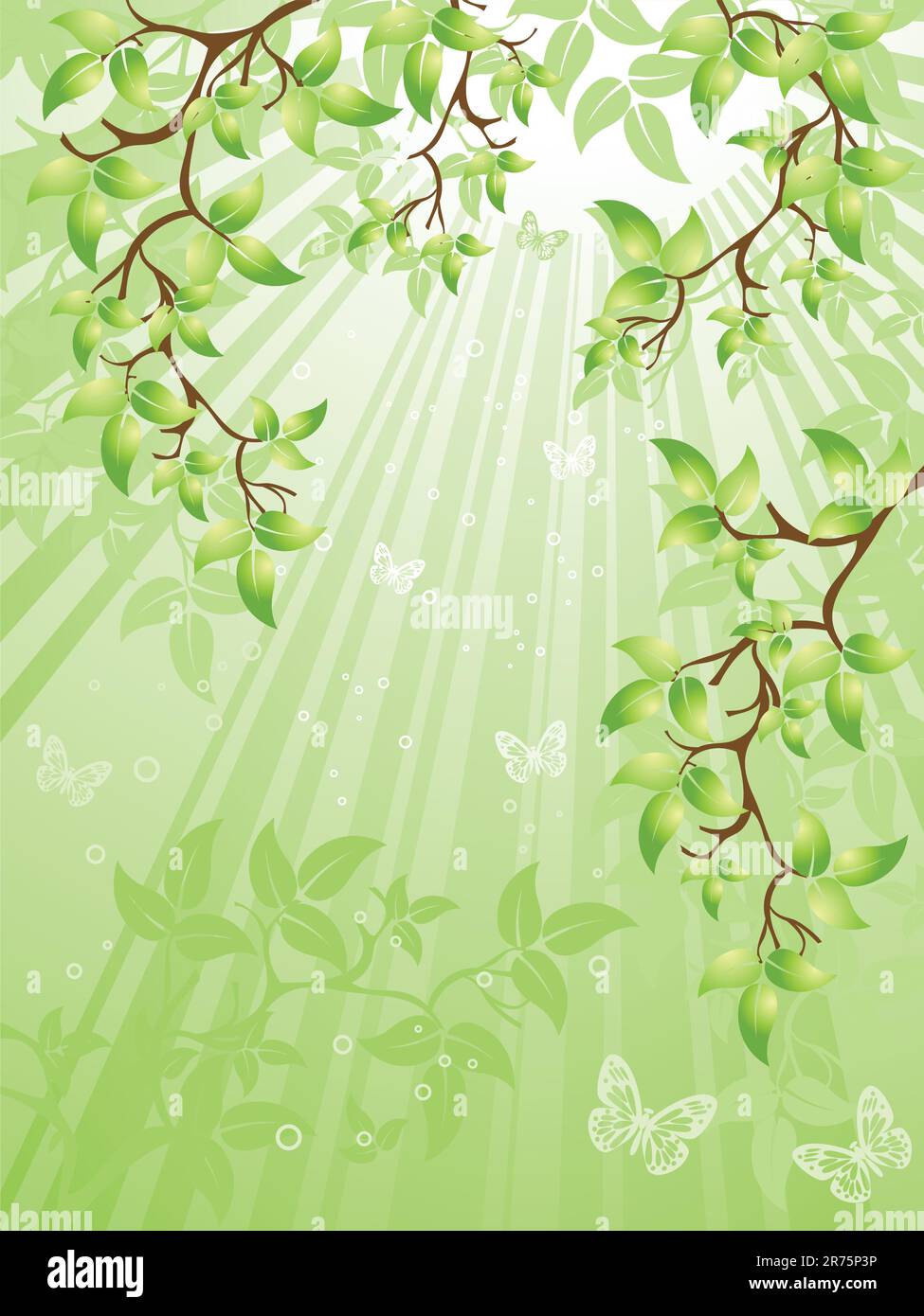 green leaves, vector illustration Stock Vector Image & Art - Alamy