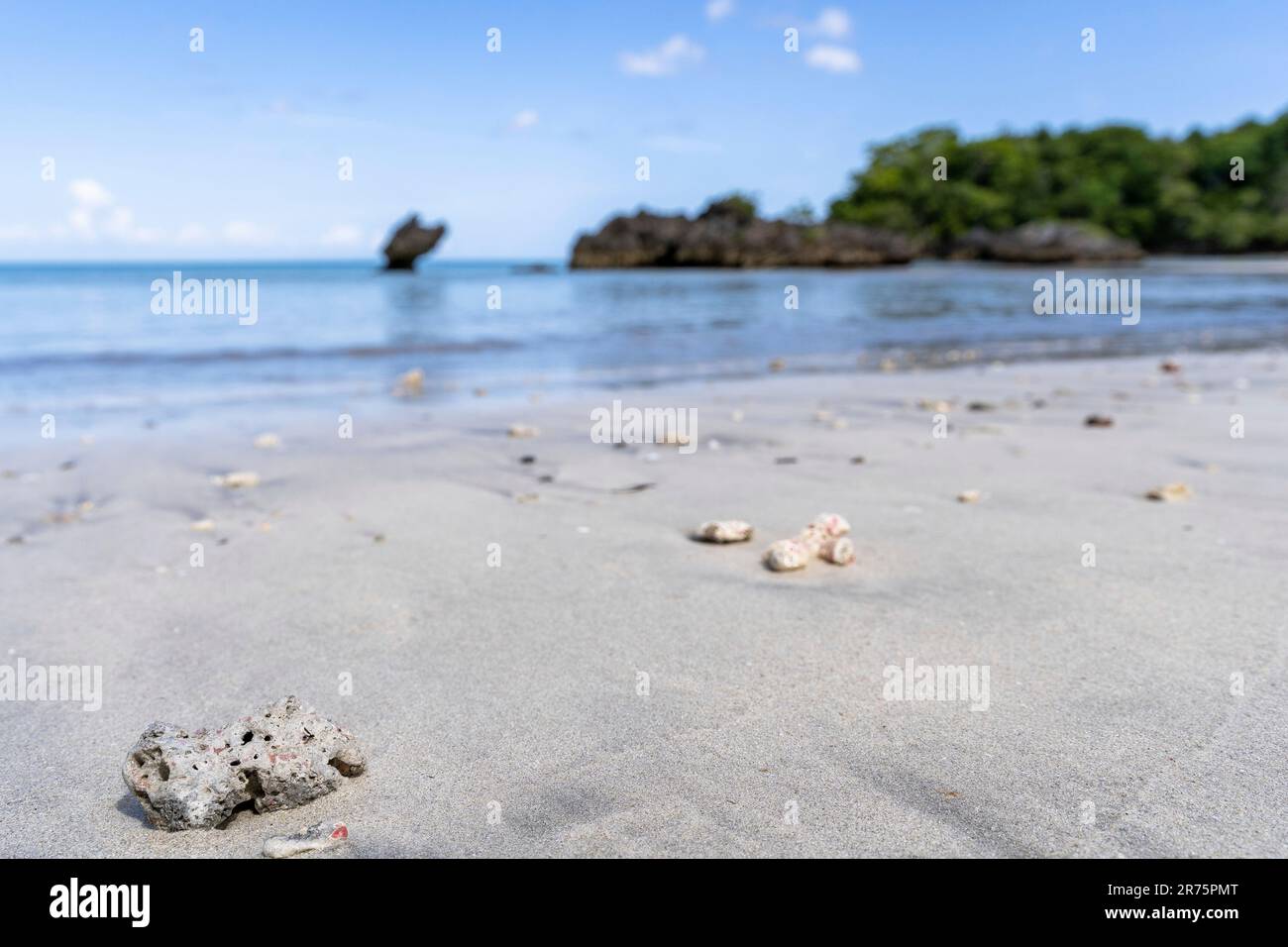 North America, Caribbean, Greater Antilles, Hispaniola Island, Dominican Republic, Sama Province, Sama Peninsula, Las Terrenas, Playa Bonita Stock Photo