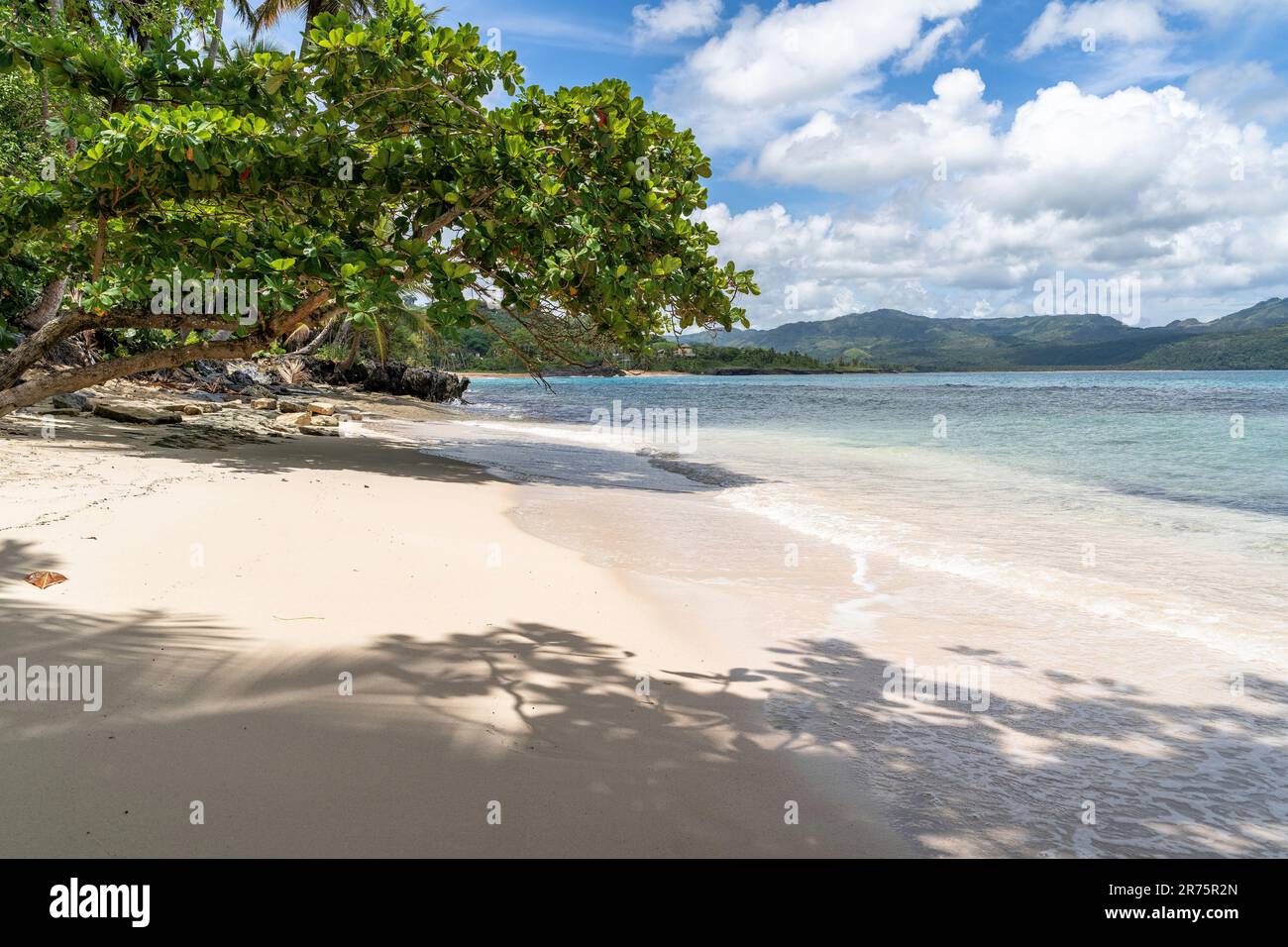 North America, Caribbean, Greater Antilles, Hispaniola Island