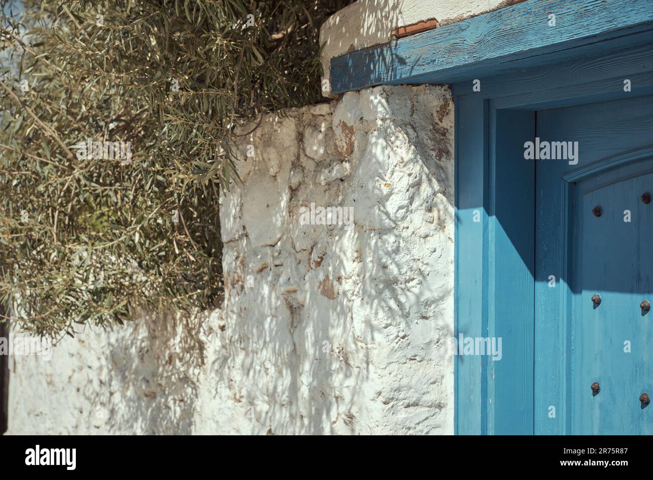 Details of an old house with a blue door and olive branches above the ...