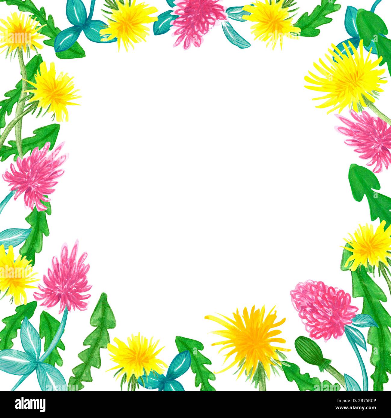 https://c8.alamy.com/comp/2R75RCP/yellow-dandelion-and-clover-flowers-hand-drawn-floral-frame-on-white-background-2R75RCP.jpg