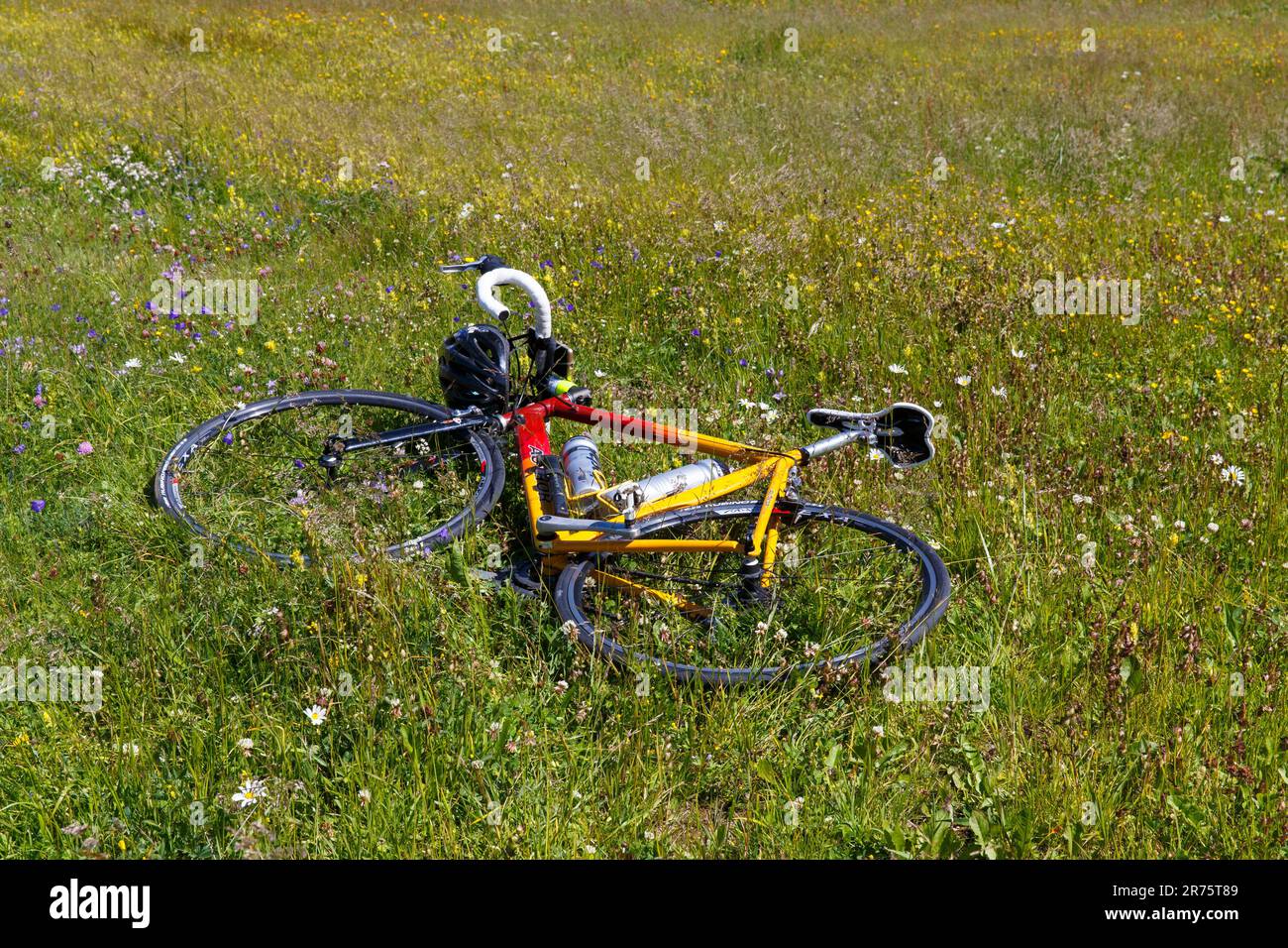 Bicycle lies in an alpine meadow Stock Photo