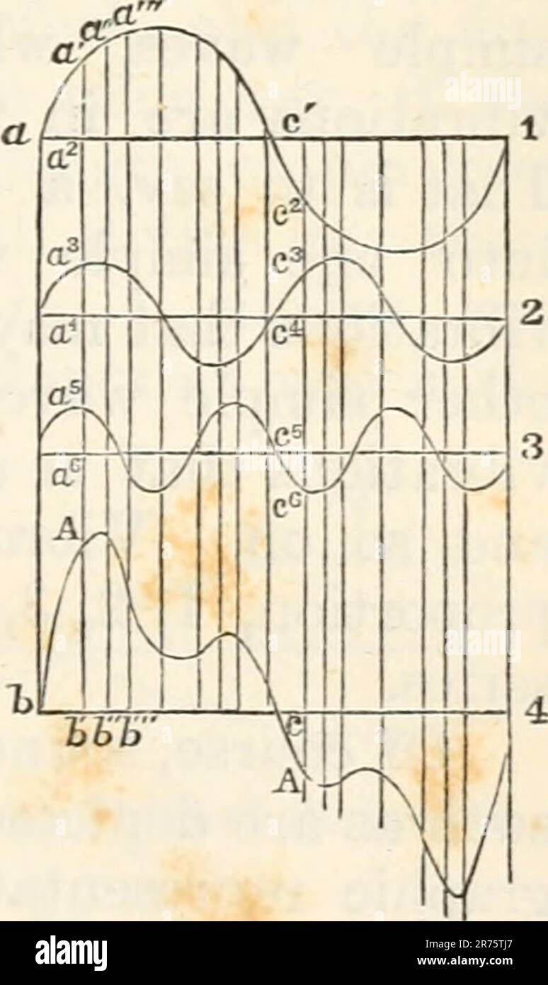 "The elements of physiological physics: an outline of the elementary facts, principles, and methods of physics; and their applications in physiology" (1884) Stock Photo
