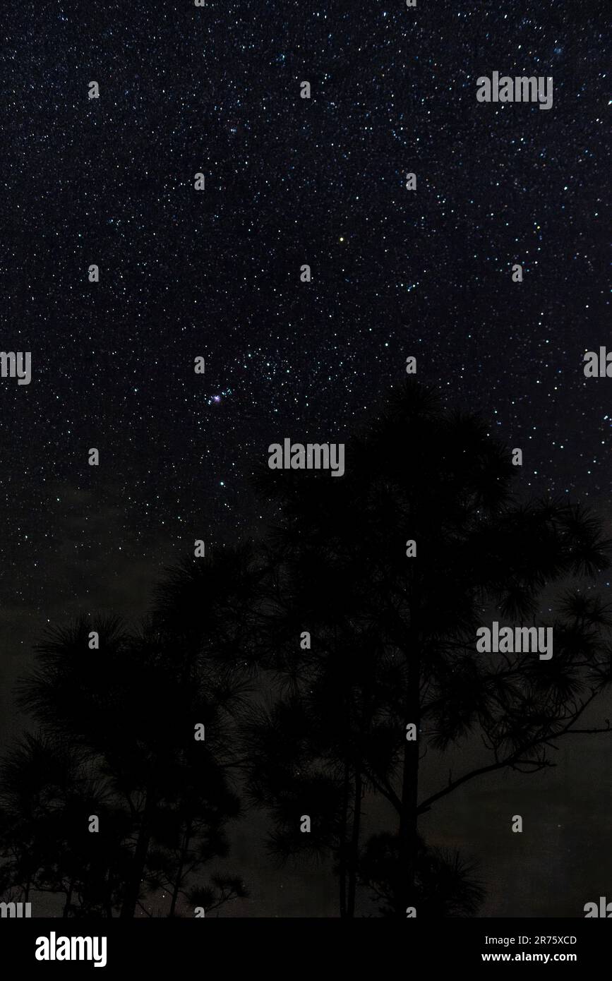 Night sky constellations hi-res stock photography and images - Alamy